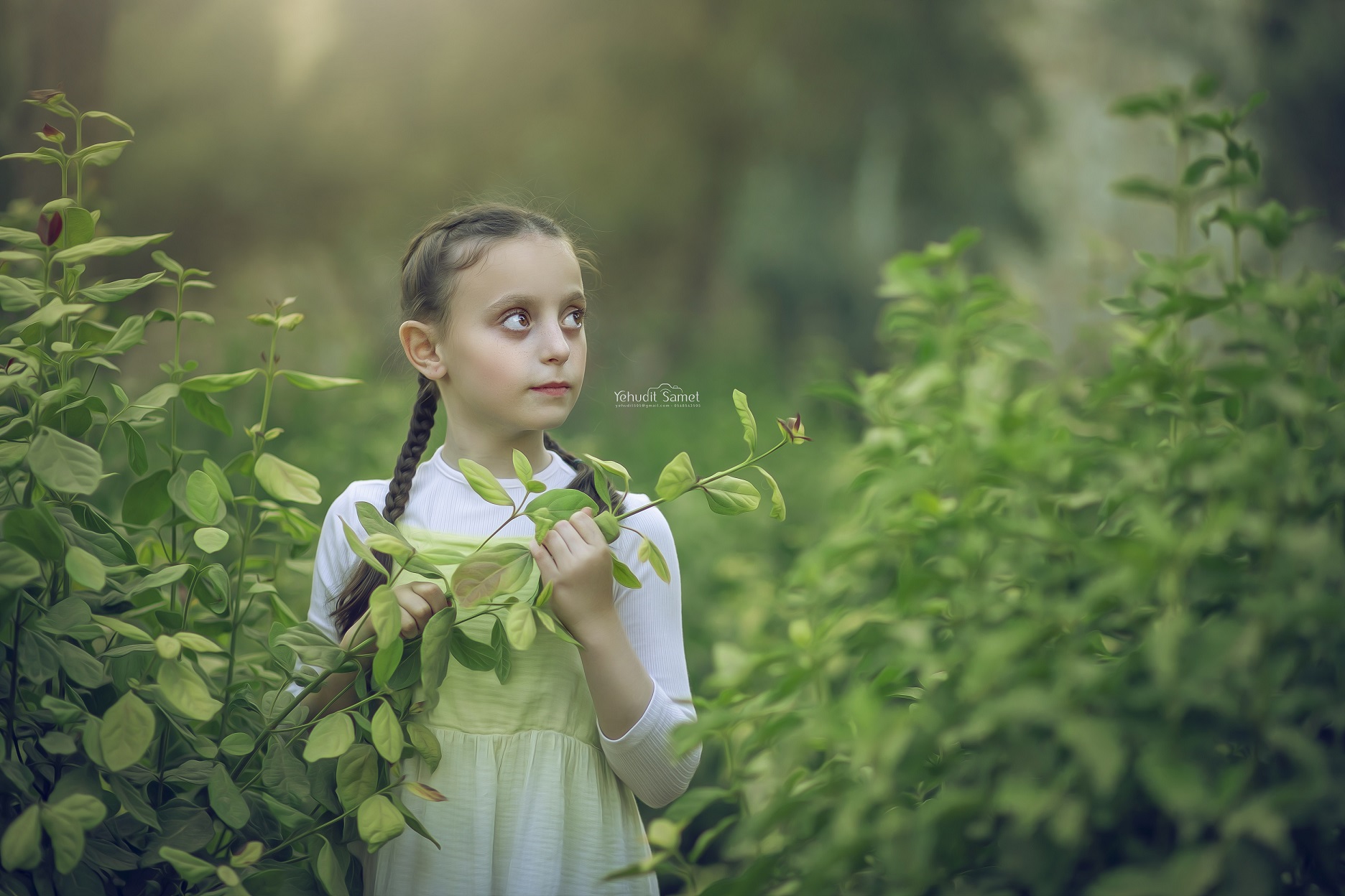 צילום יהודית סמט