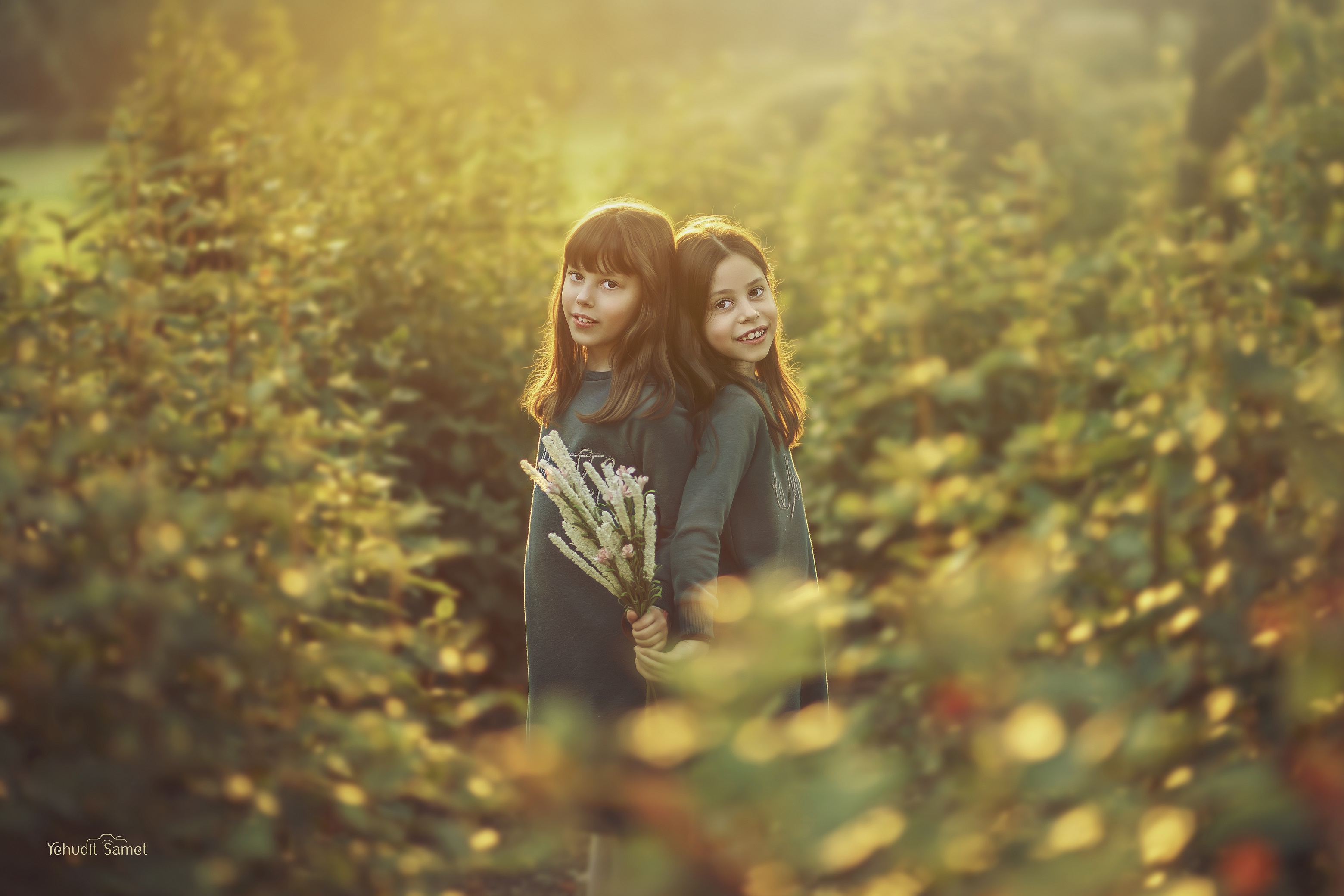 צילום יהודית סמט