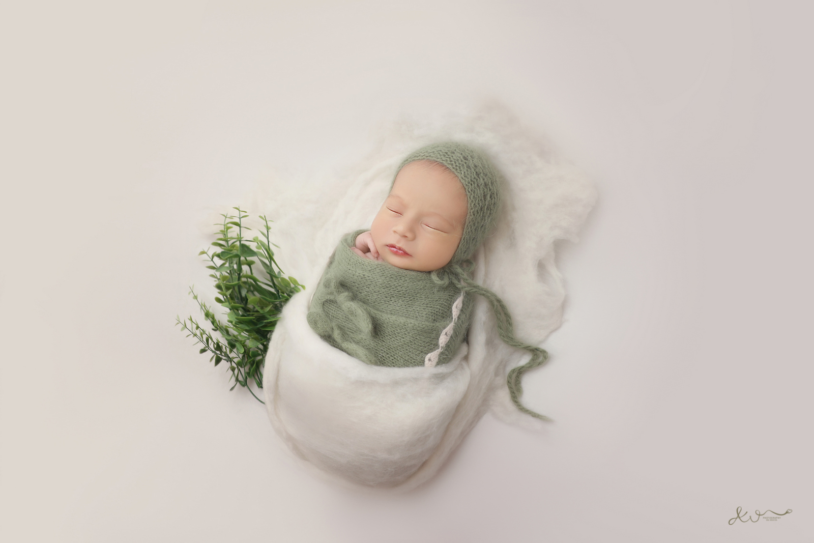 צילום כהן (44).JPG