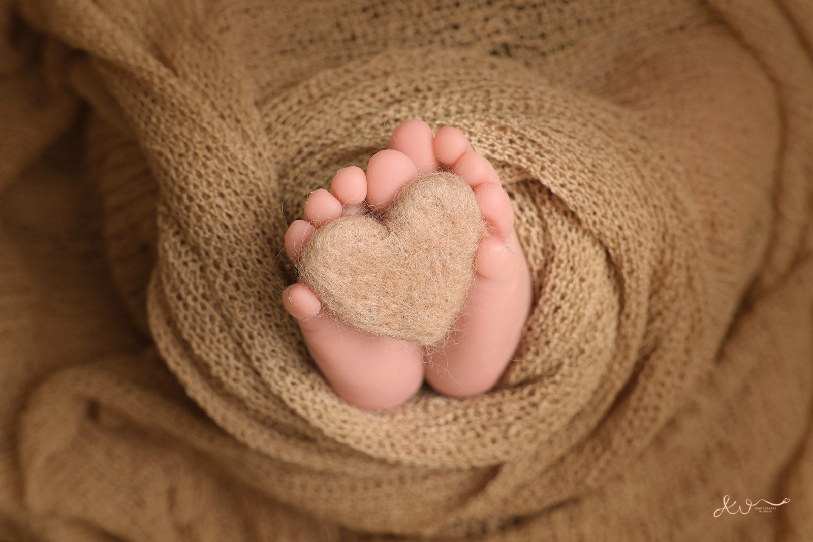 צילום כהן (64).JPG