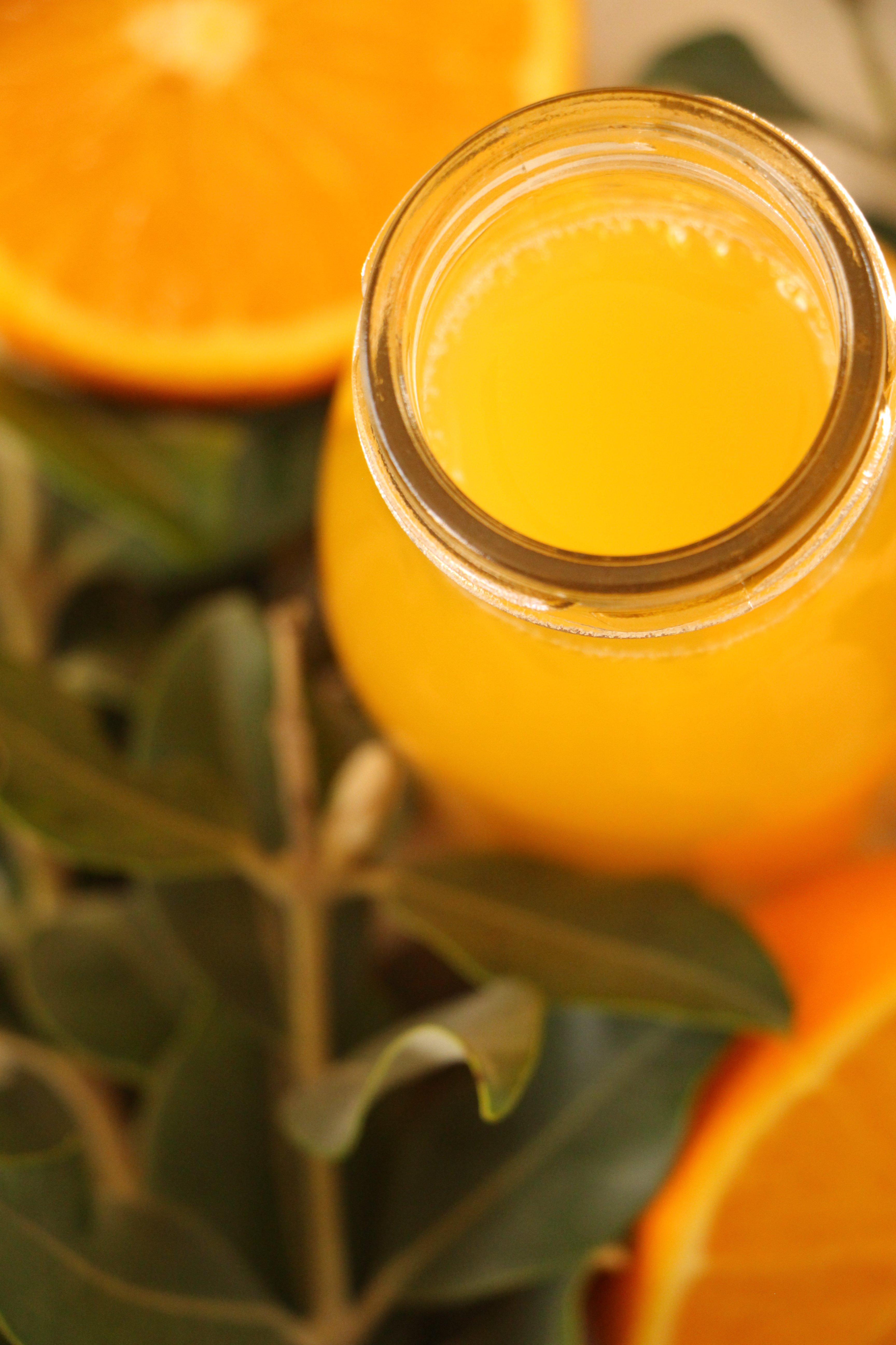 צילום ללא עיבוד