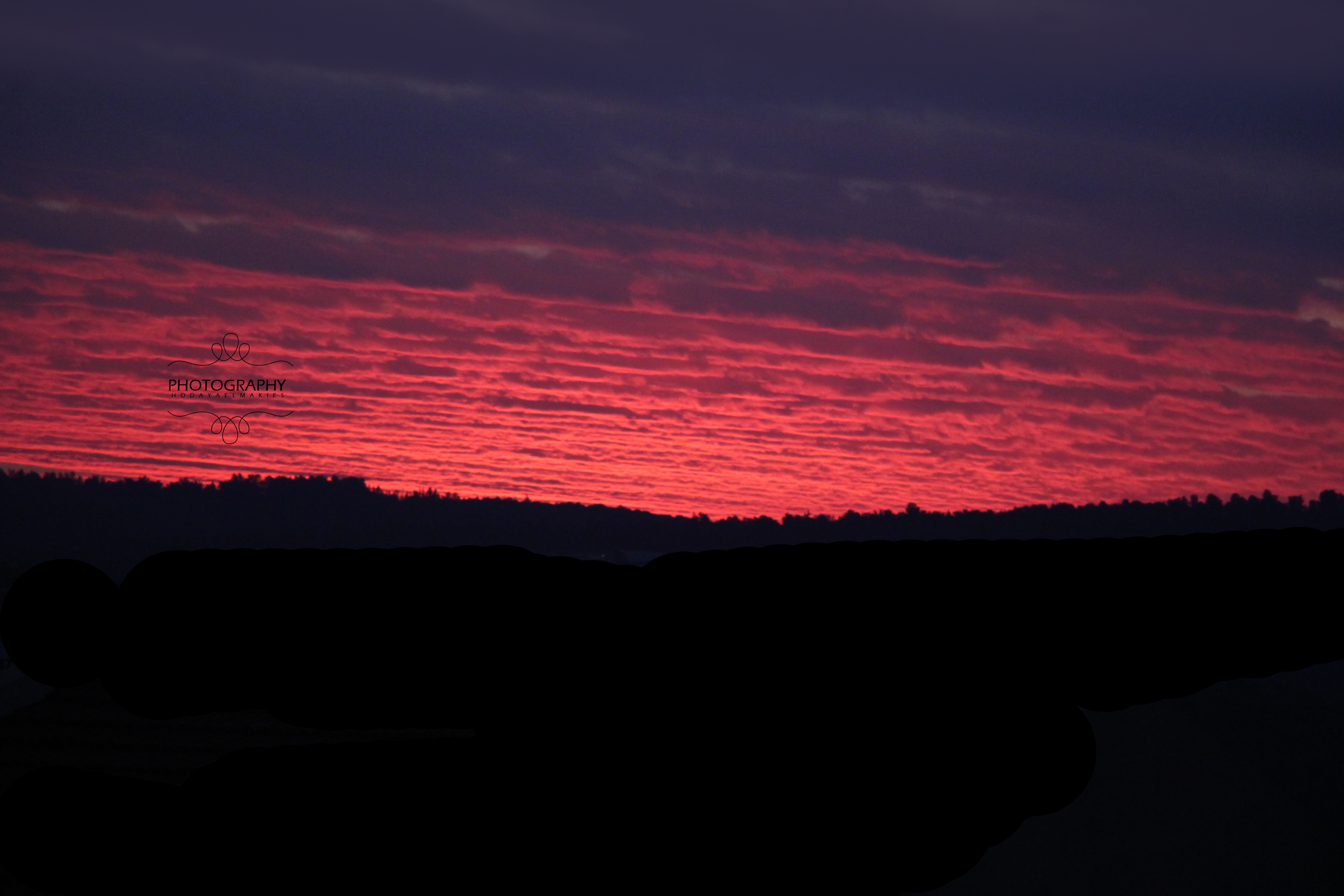 צילום ללא עיבוד.