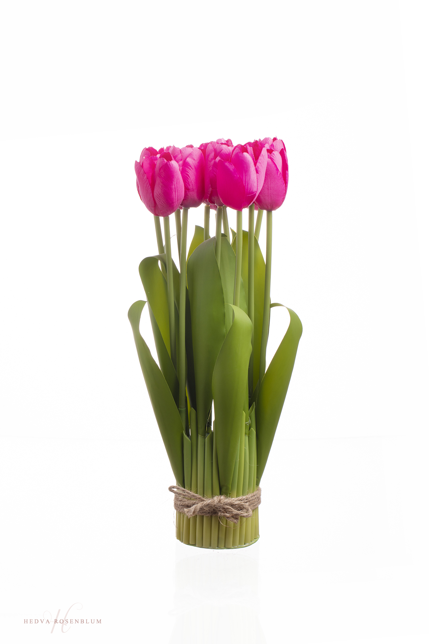 צילום מוצר מסחרי 2 (3).jpg