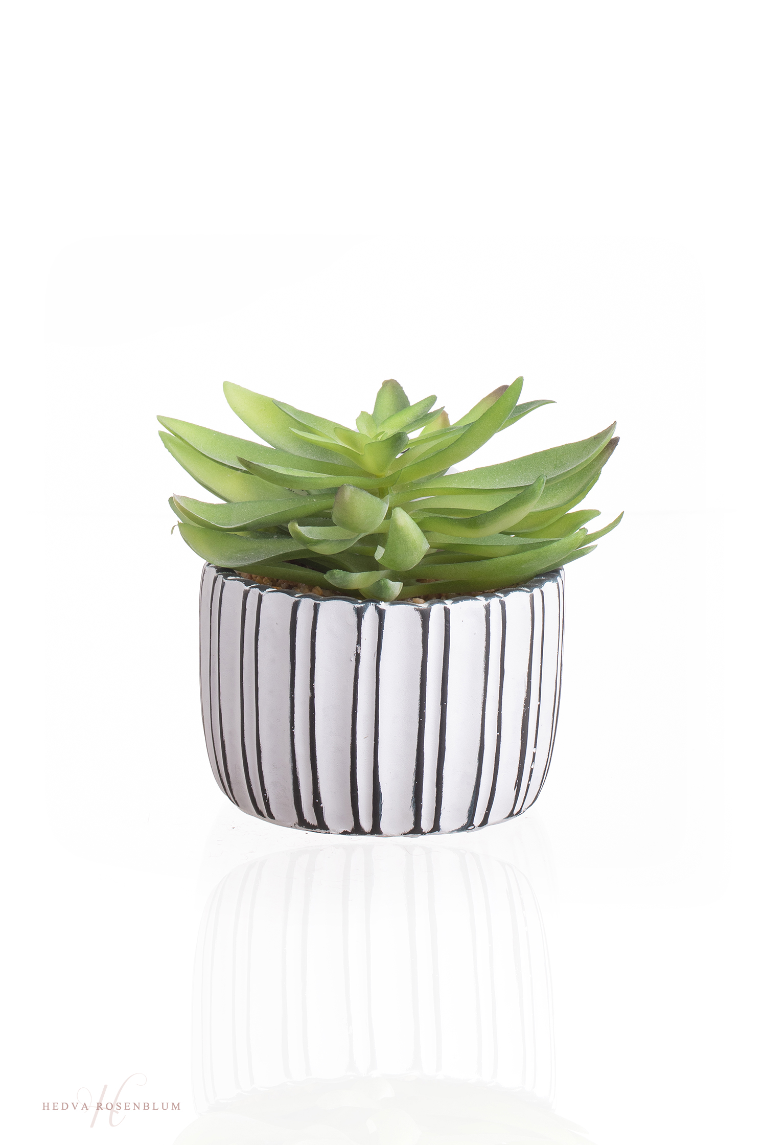 צילום מוצר מסחרי 2 (5).jpg