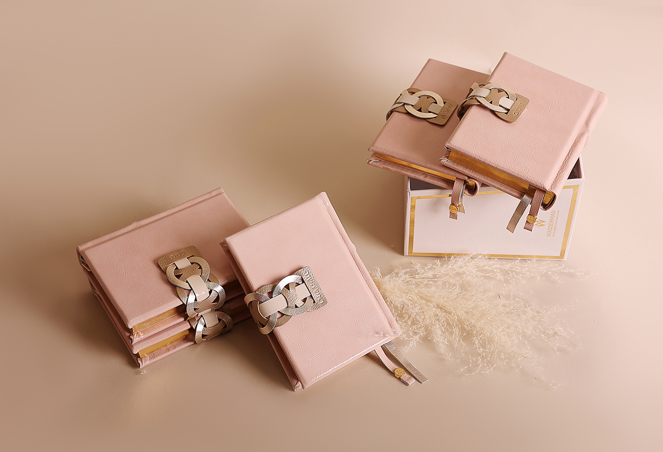 צילום מחזורים לווסרמן