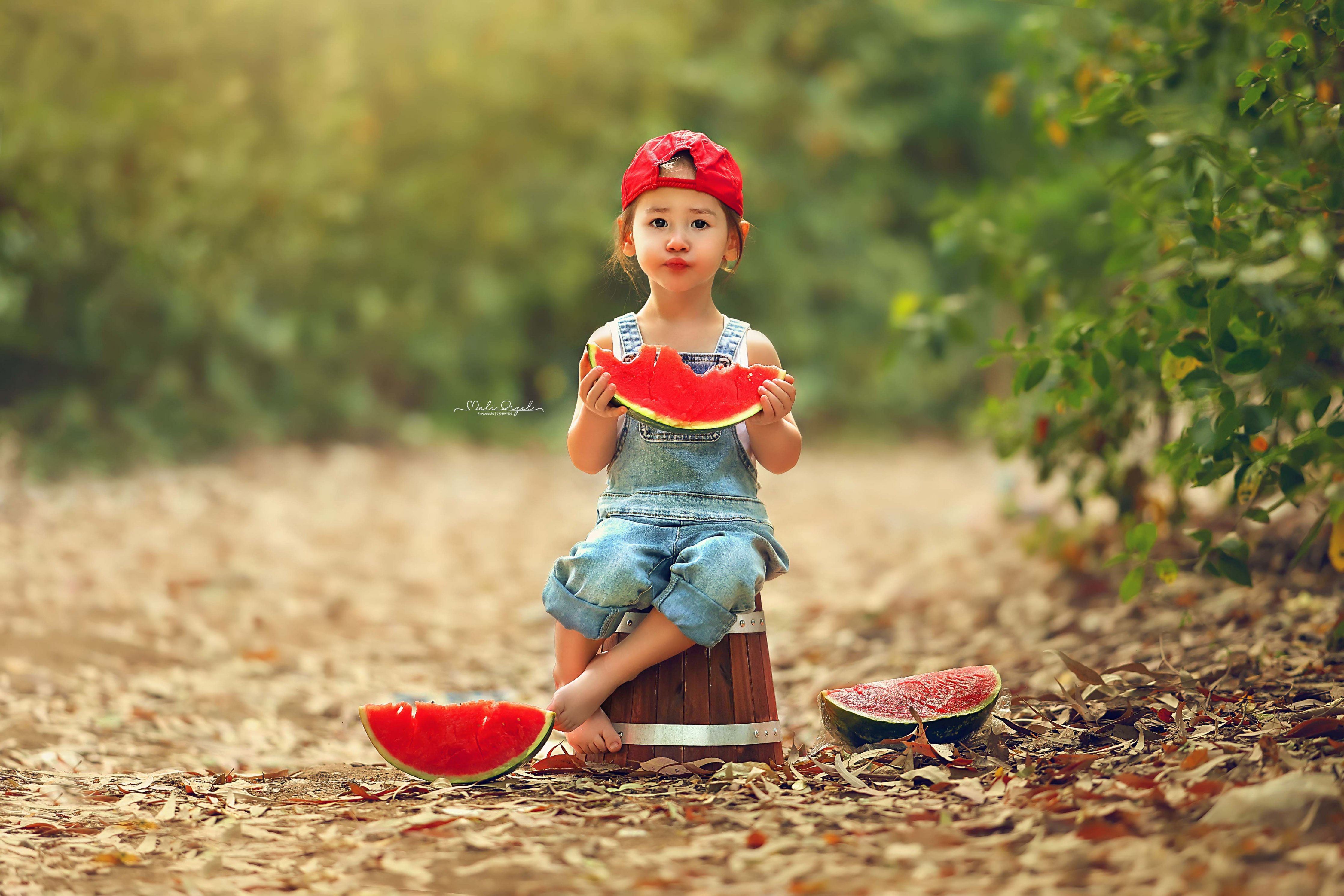 צילום מלי 0533104506