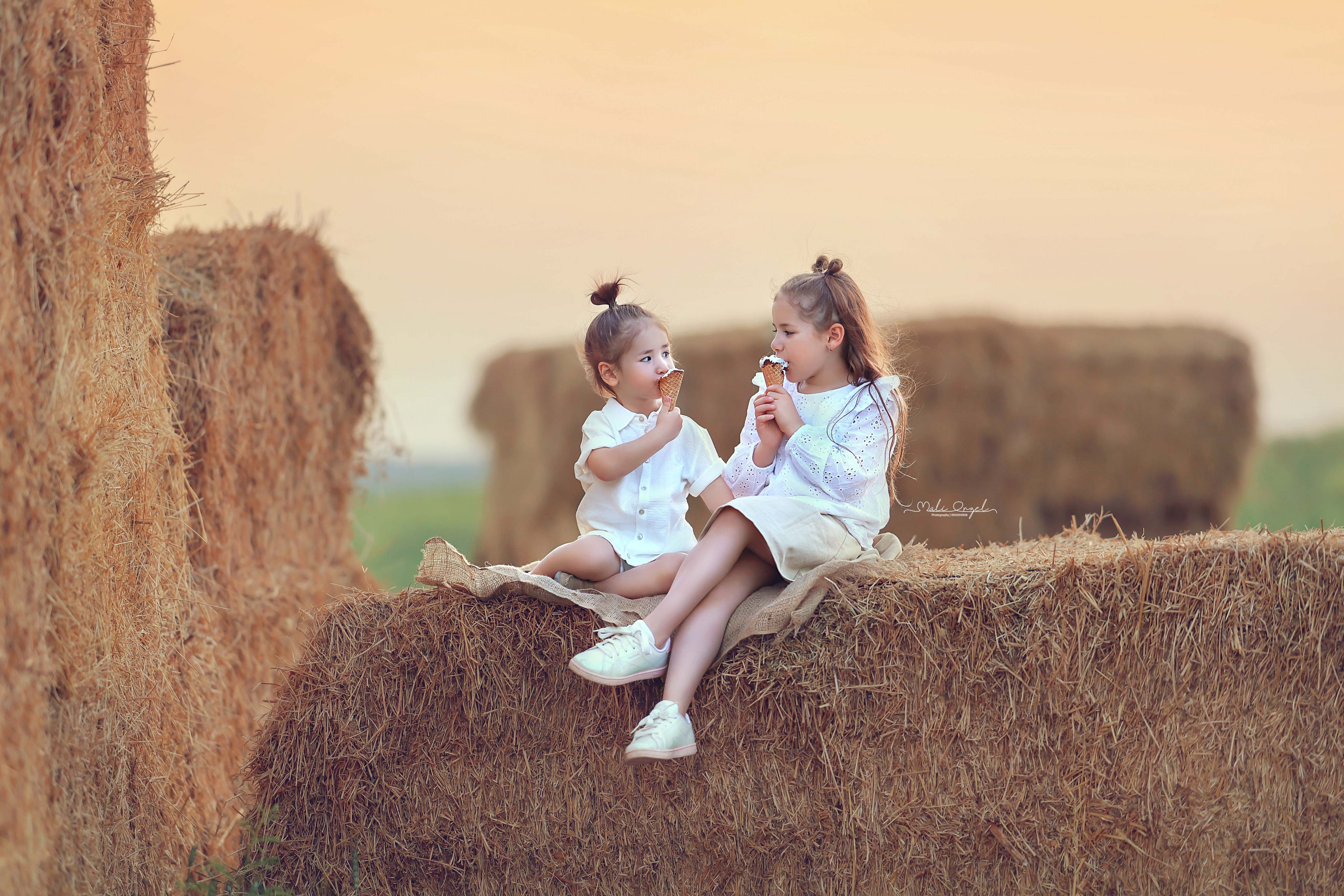 צילום מלי 0533104506