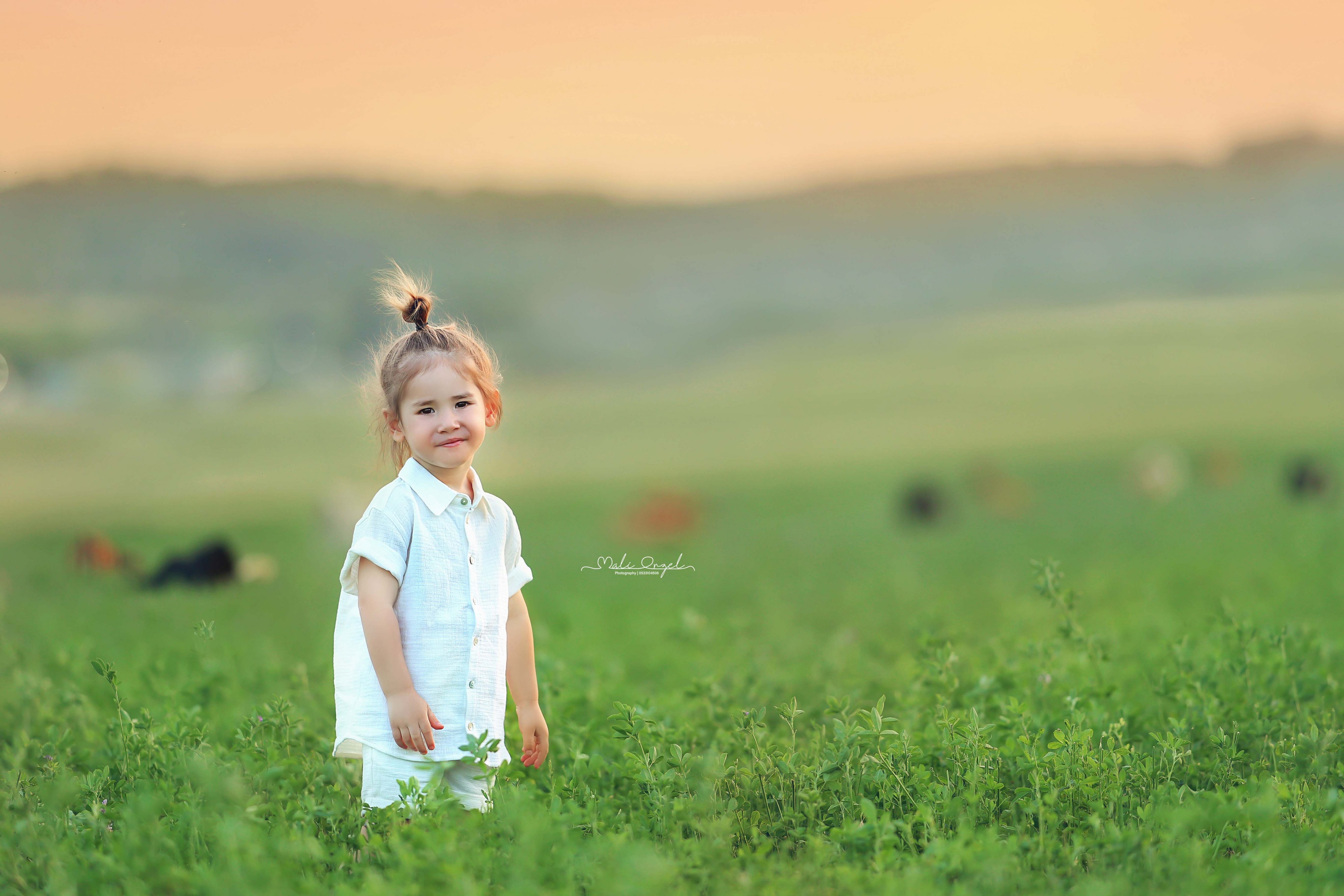 צילום מלי 0533104506