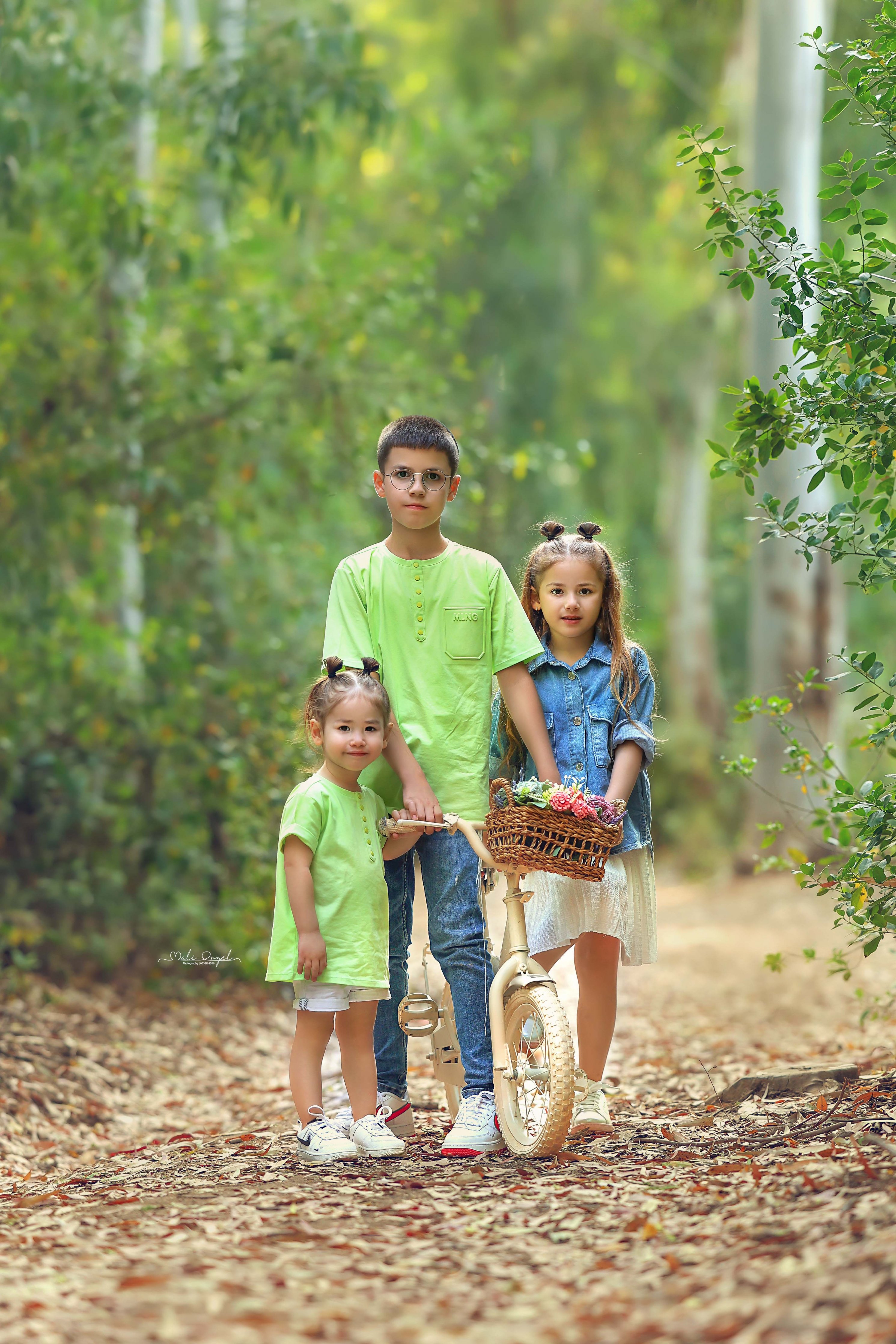 צילום מלי 0533104506