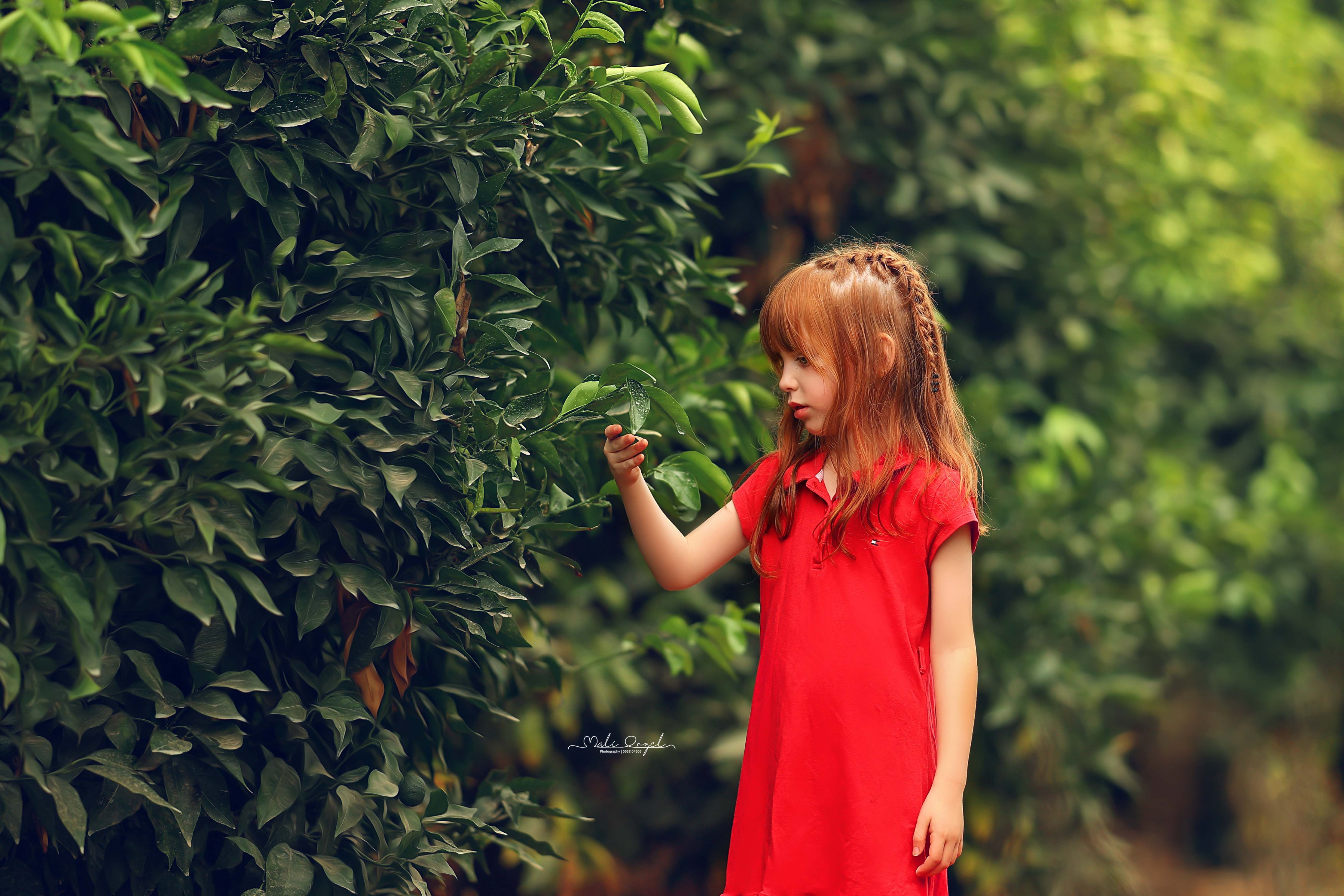 צילום מלי 0533104506