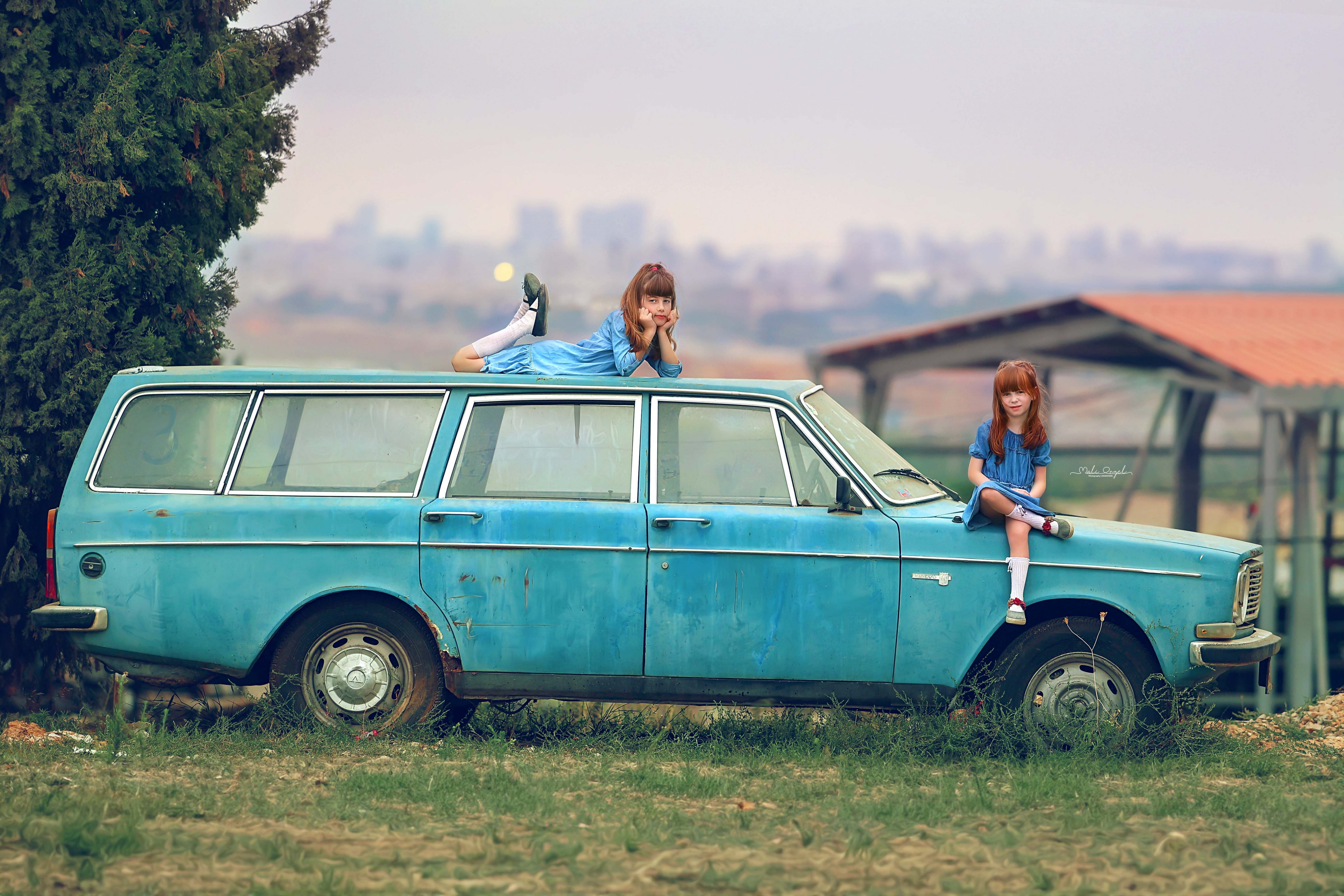 צילום מלי 0533104506