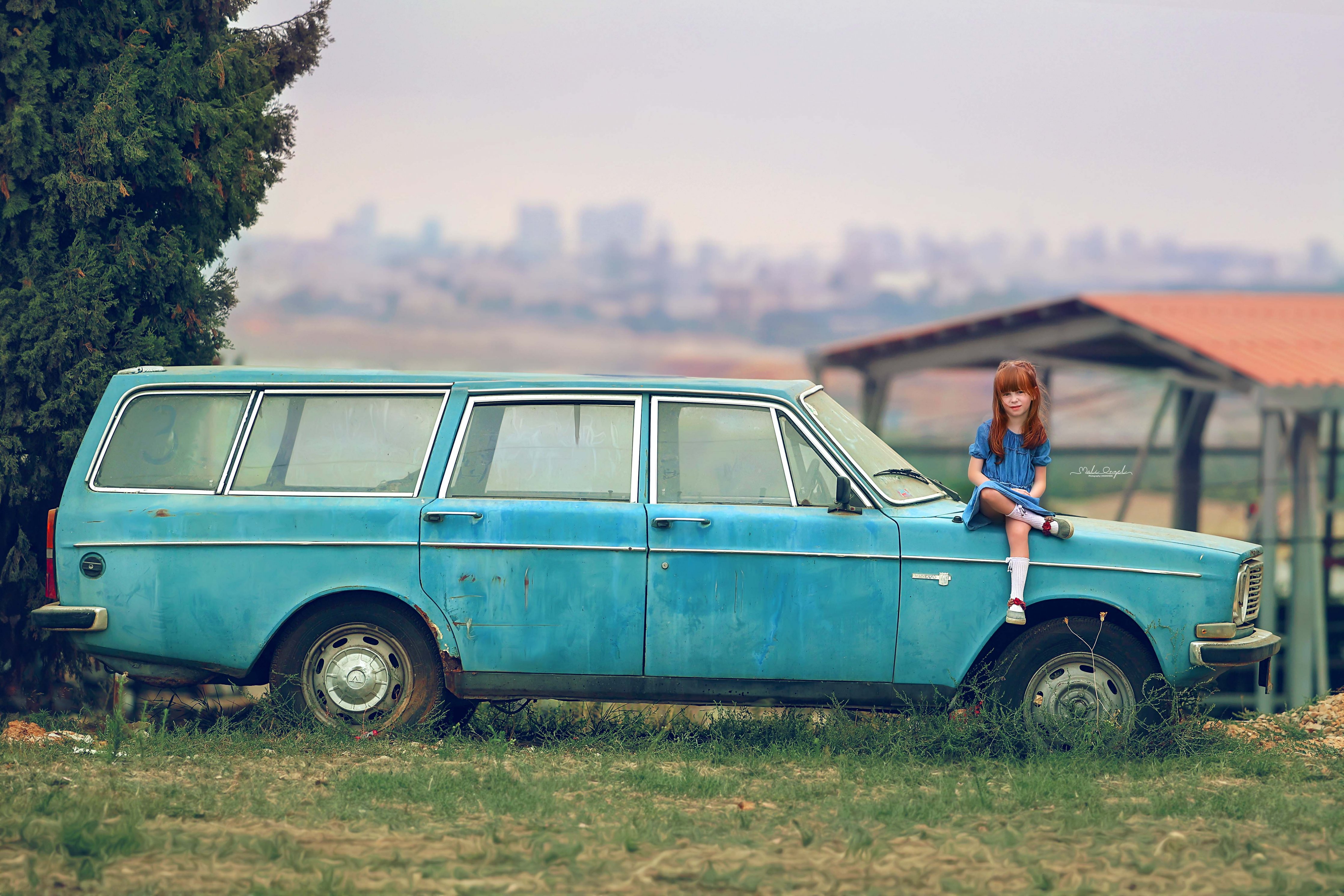 צילום מלי 0533104506