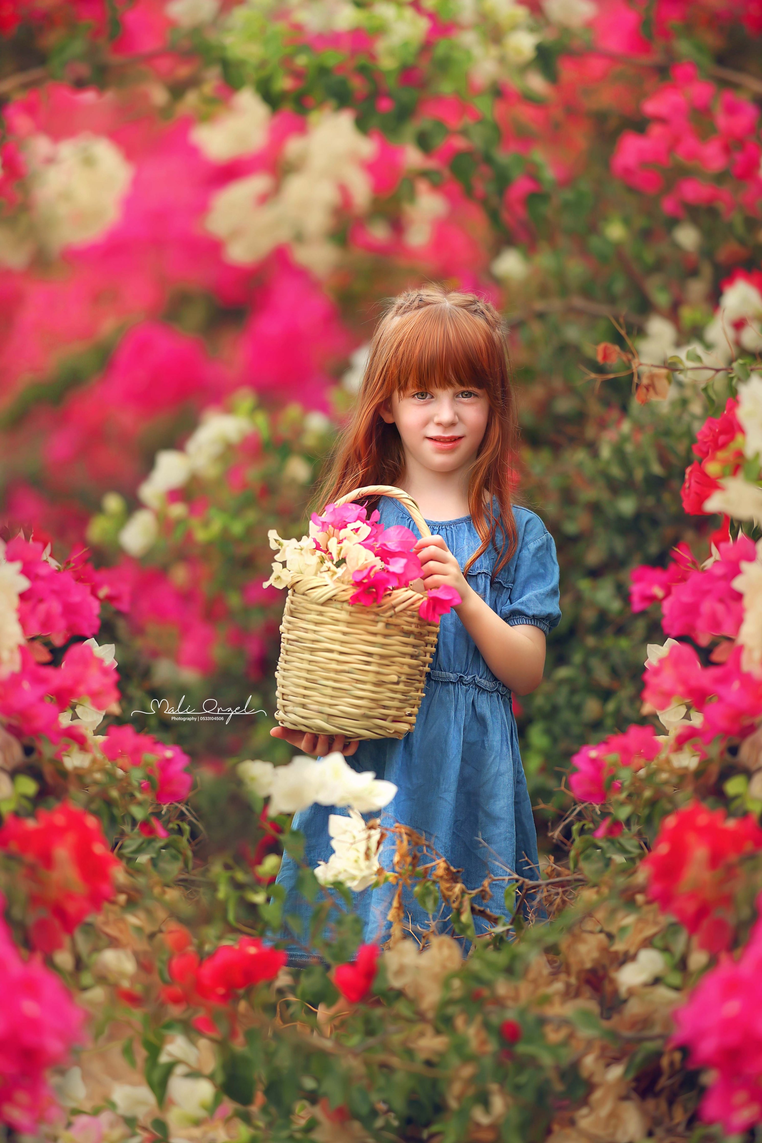 צילום מלי 0533104506