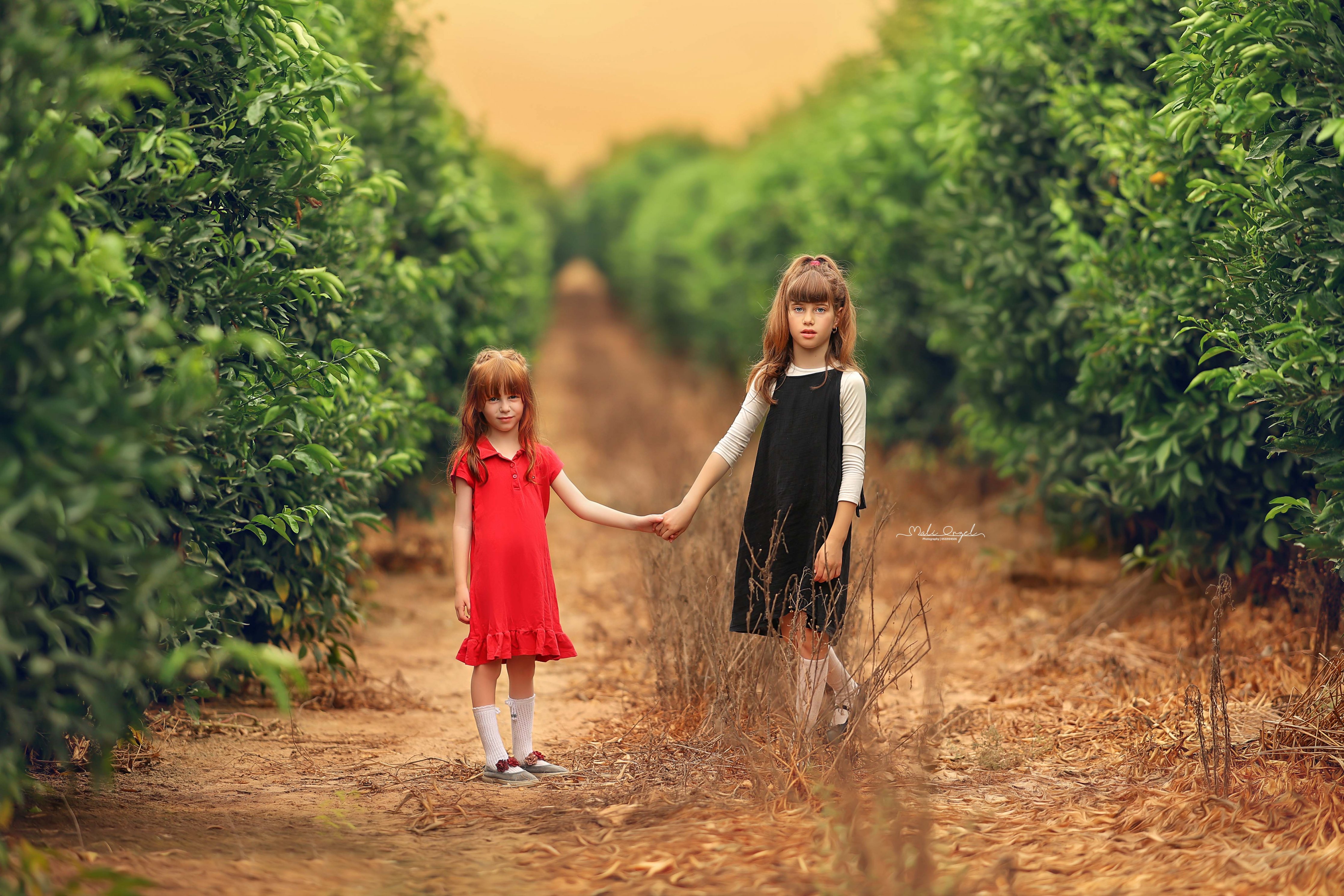 צילום מלי 0533104506