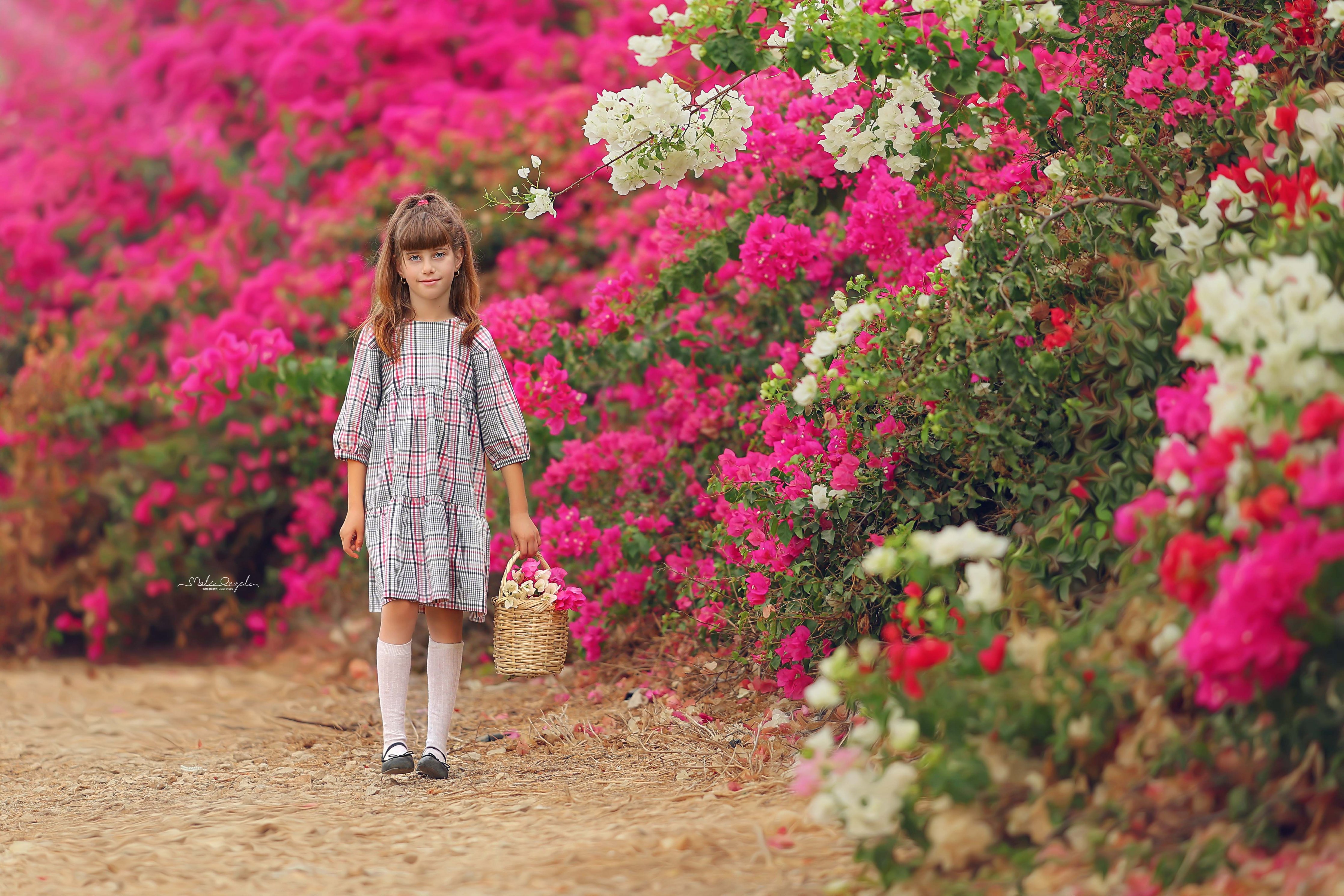 צילום מלי 0533104506