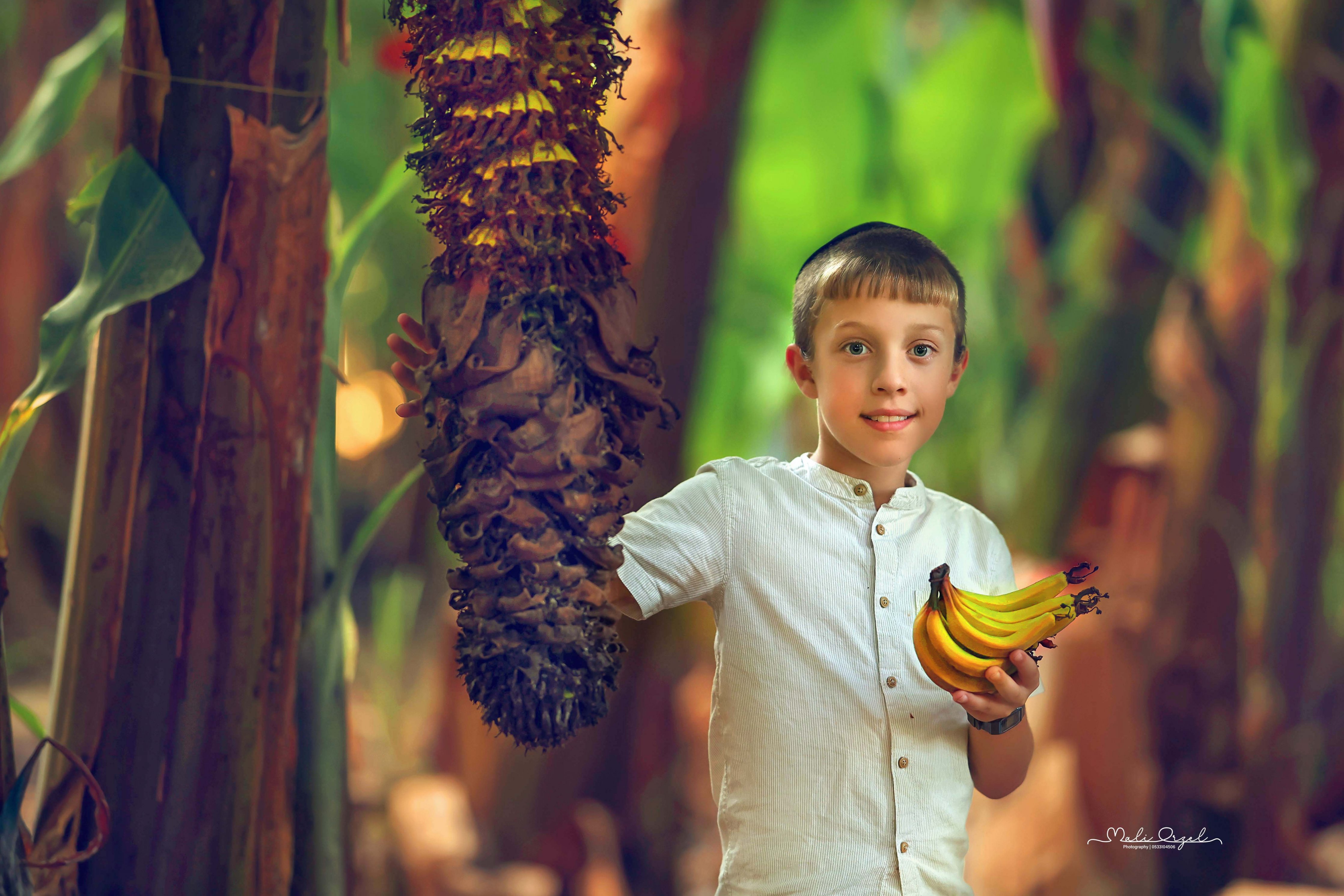 צילום מלי 0533104506