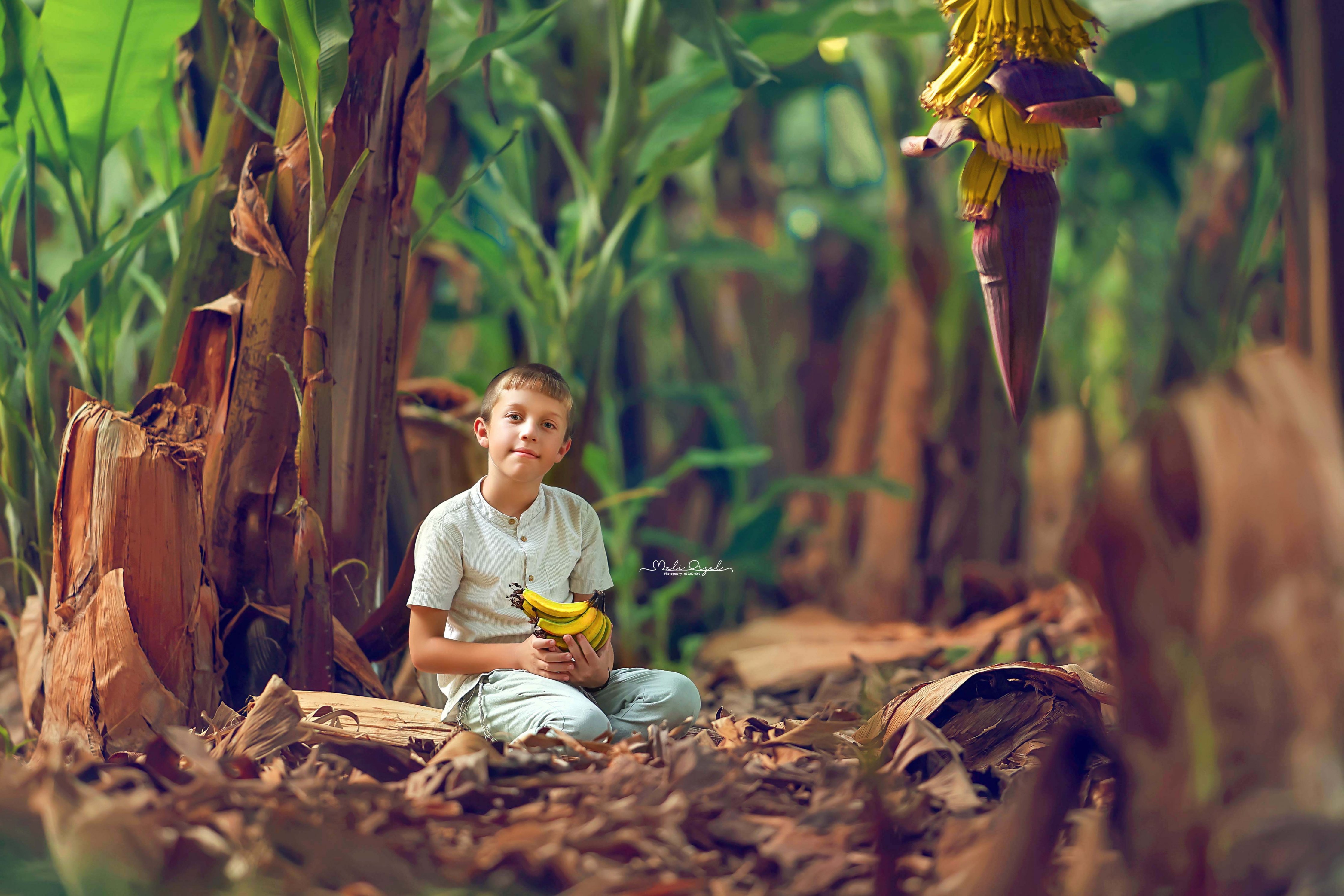 צילום מלי 0533104506