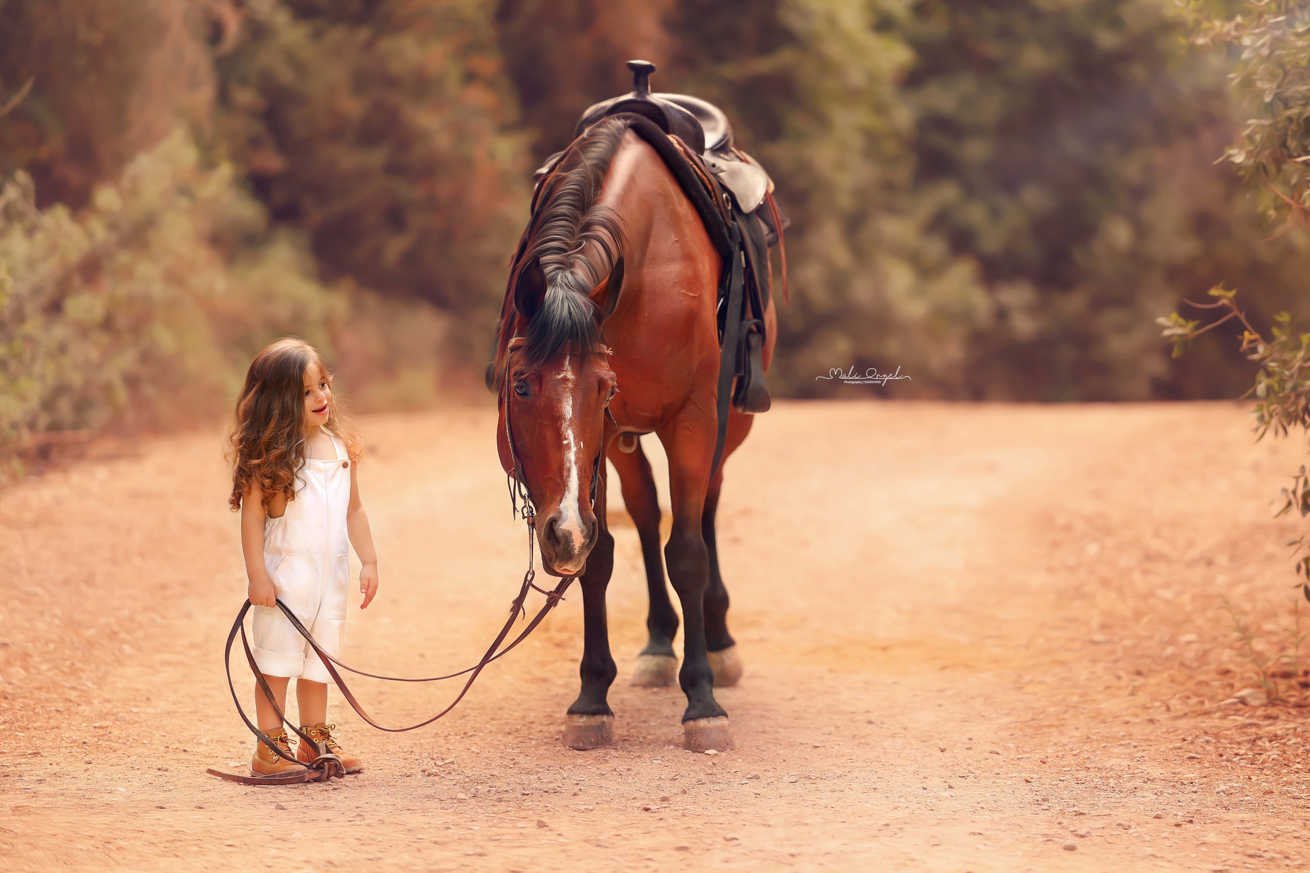 צילום מלי 0533104506