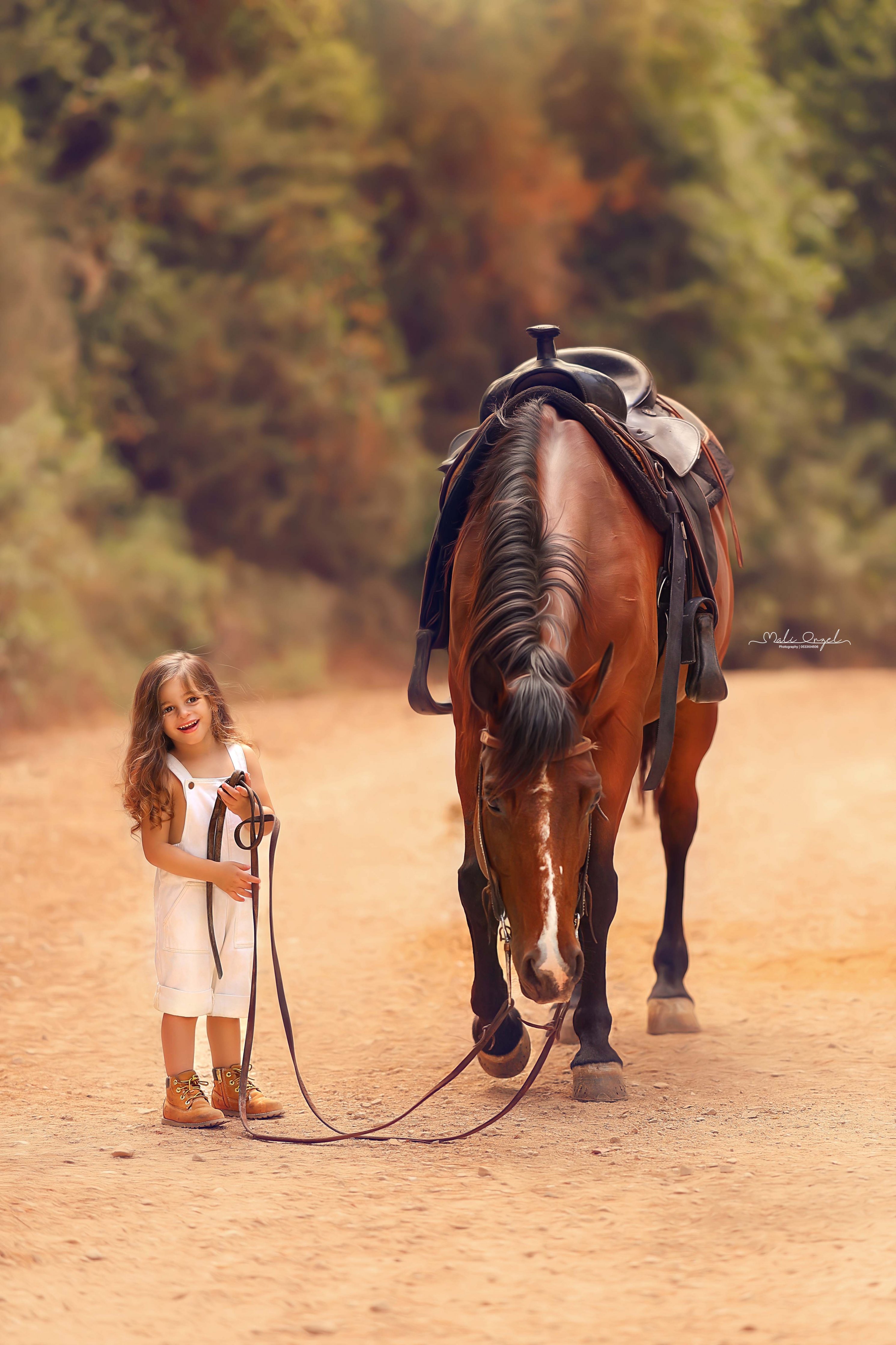 צילום מלי 0533104506