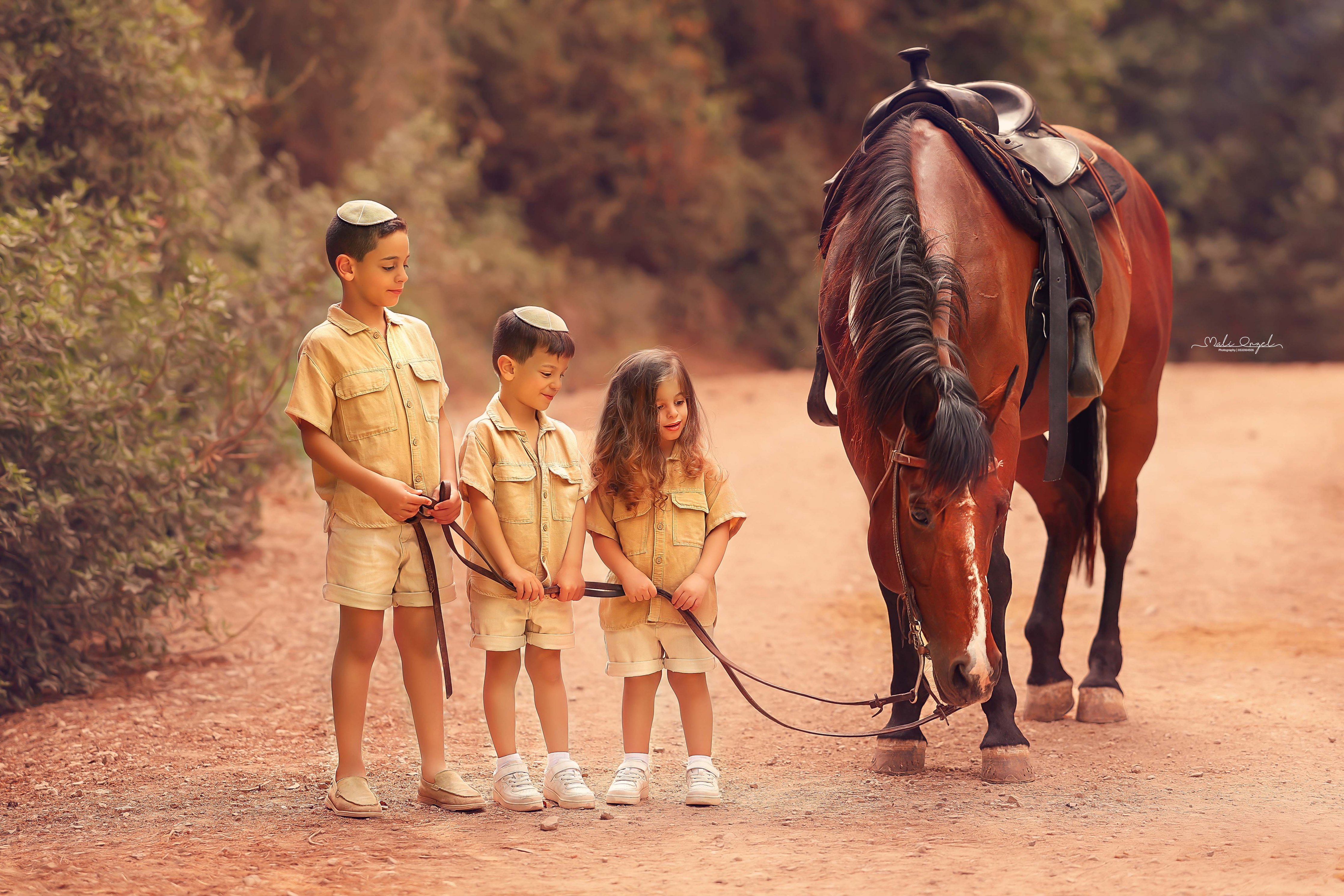 צילום מלי 0533104506