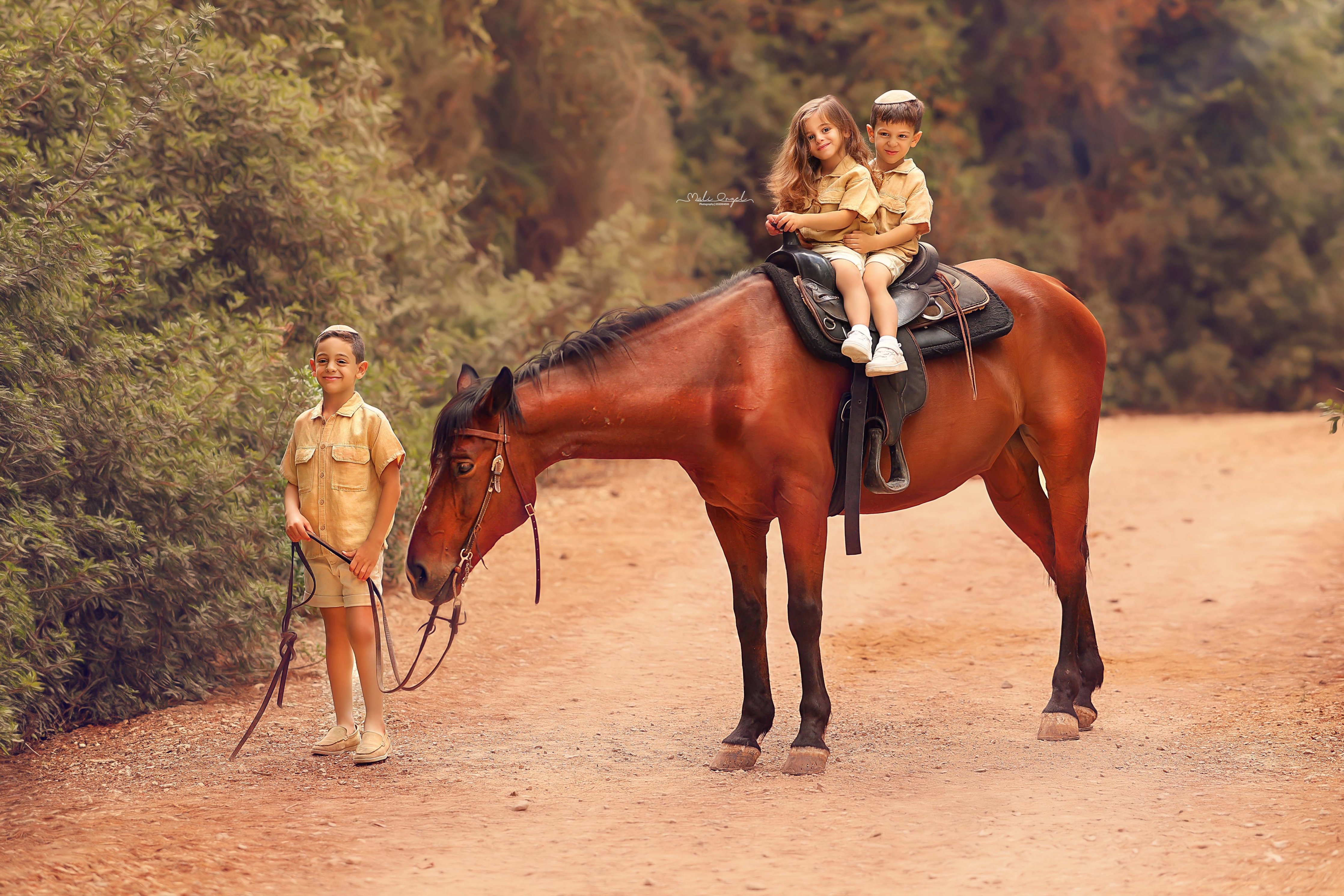 צילום מלי 0533104506