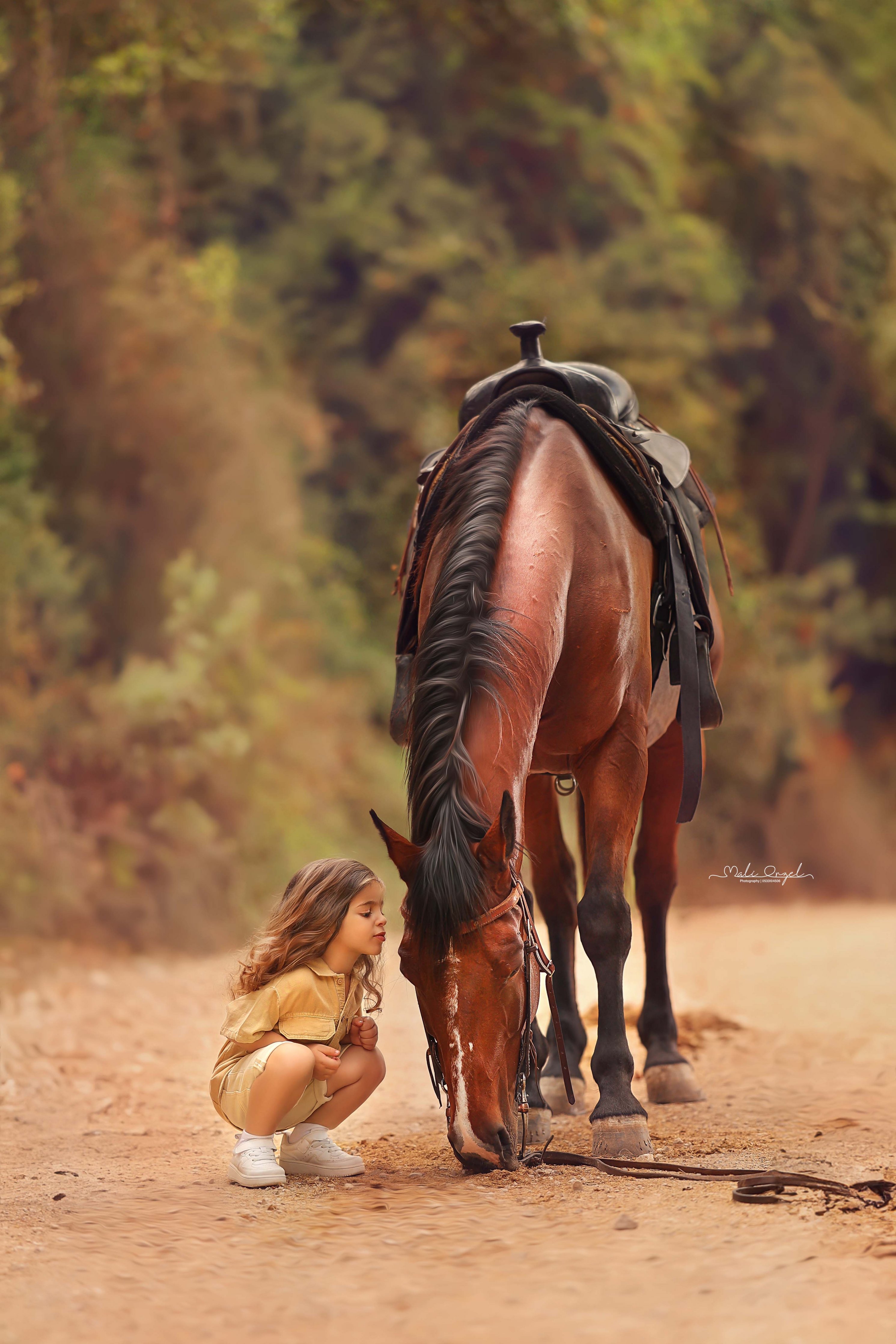 צילום מלי 0533104506