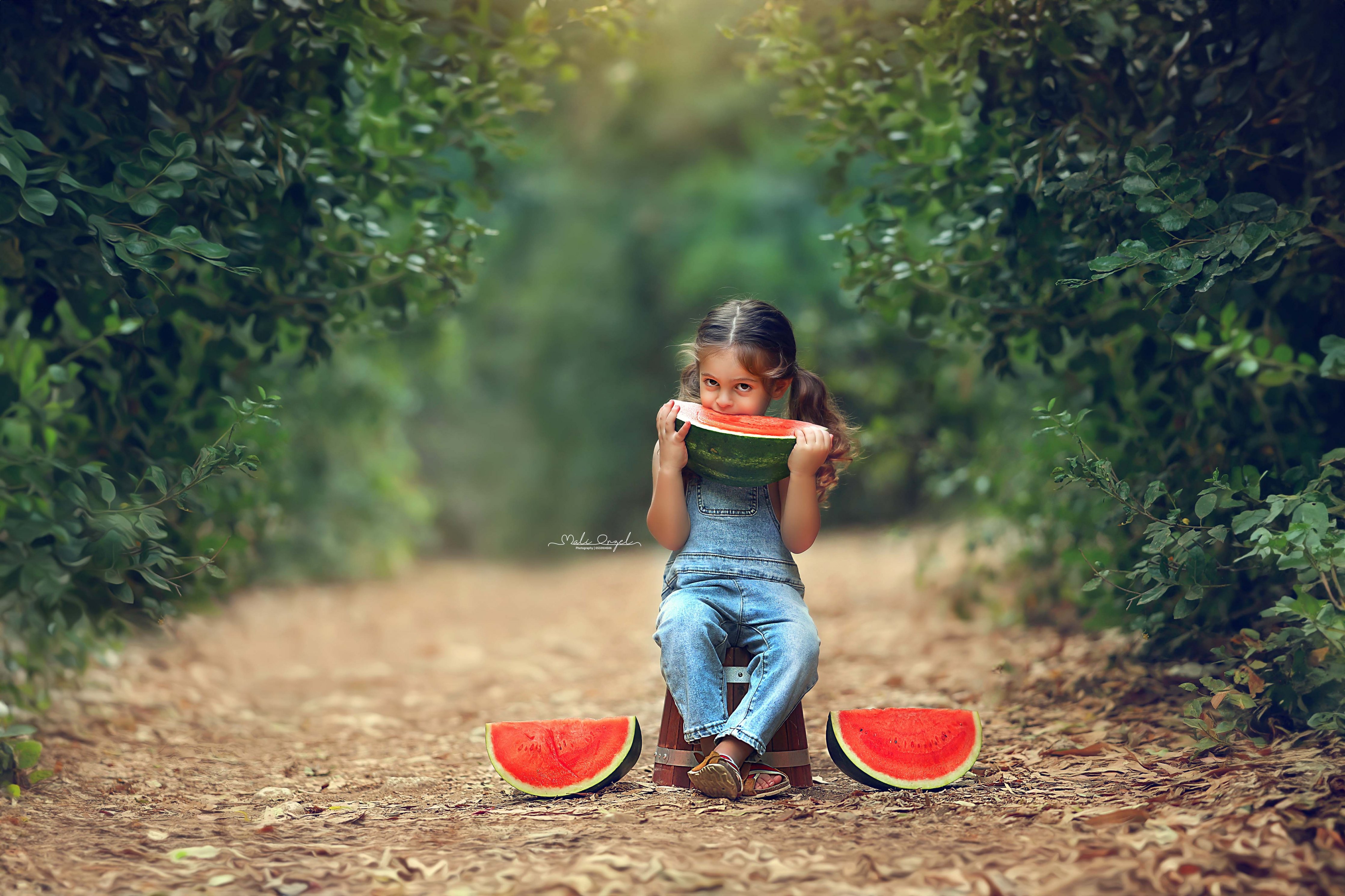 צילום מלי 0533104506