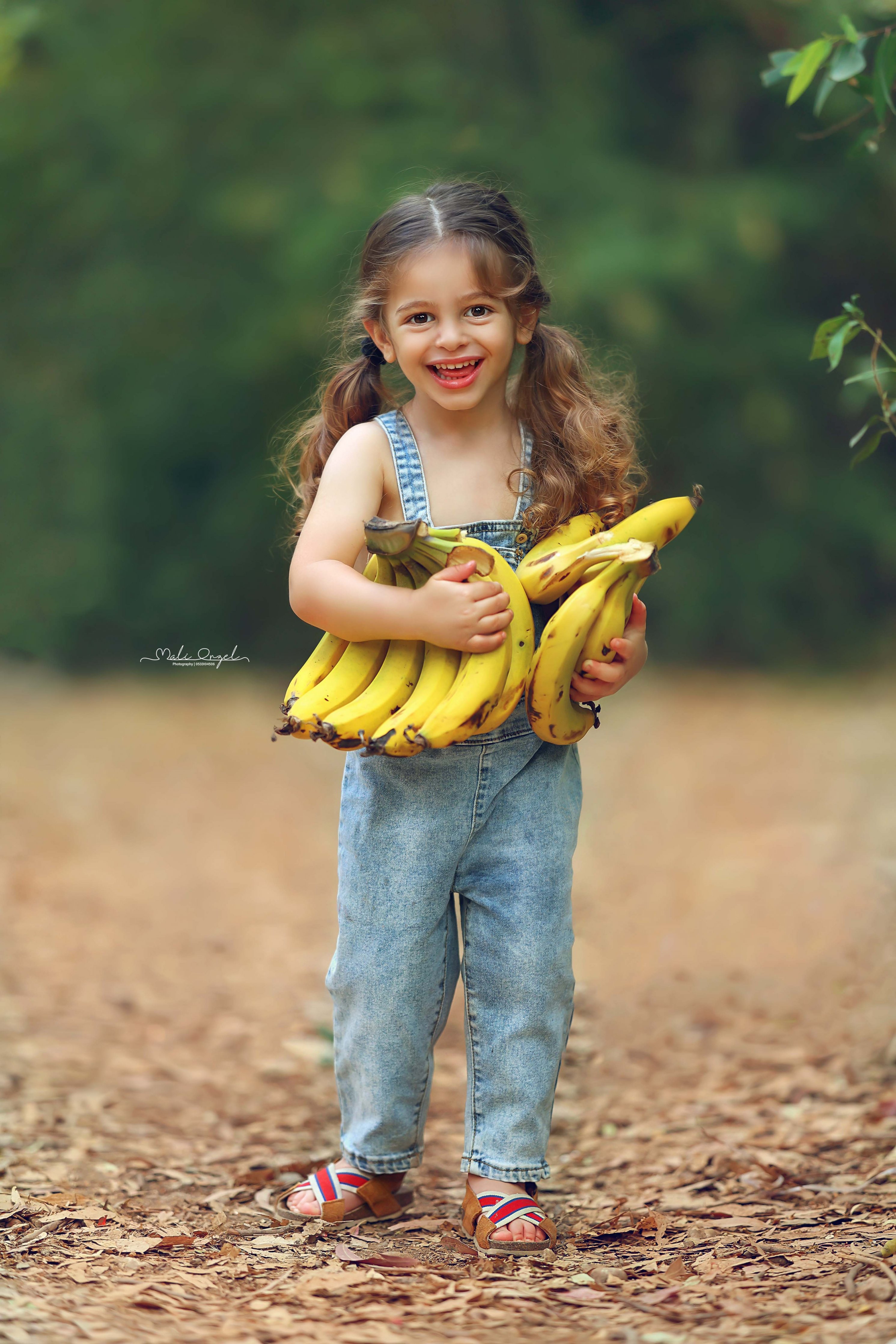 צילום מלי 0533104506