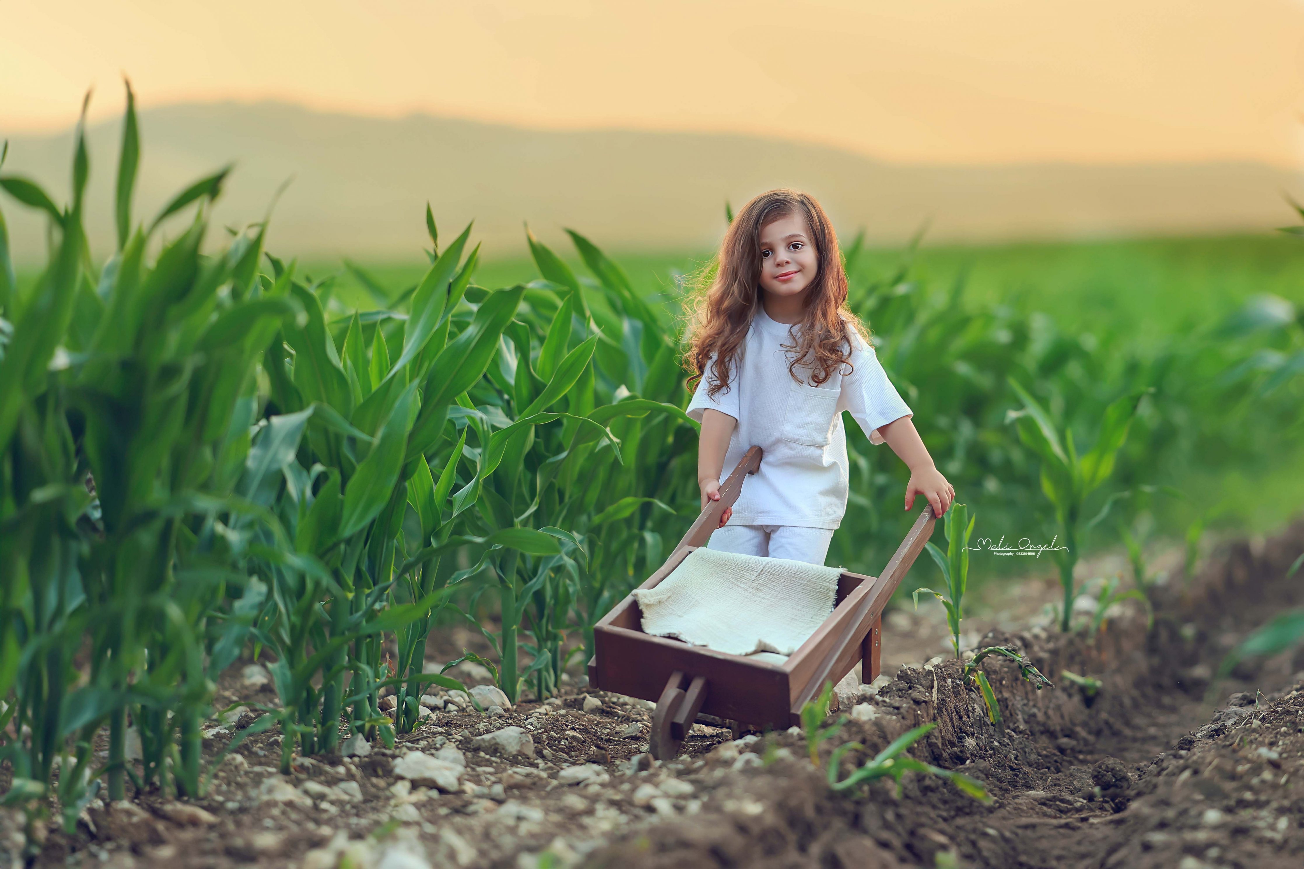 צילום מלי 0533104506