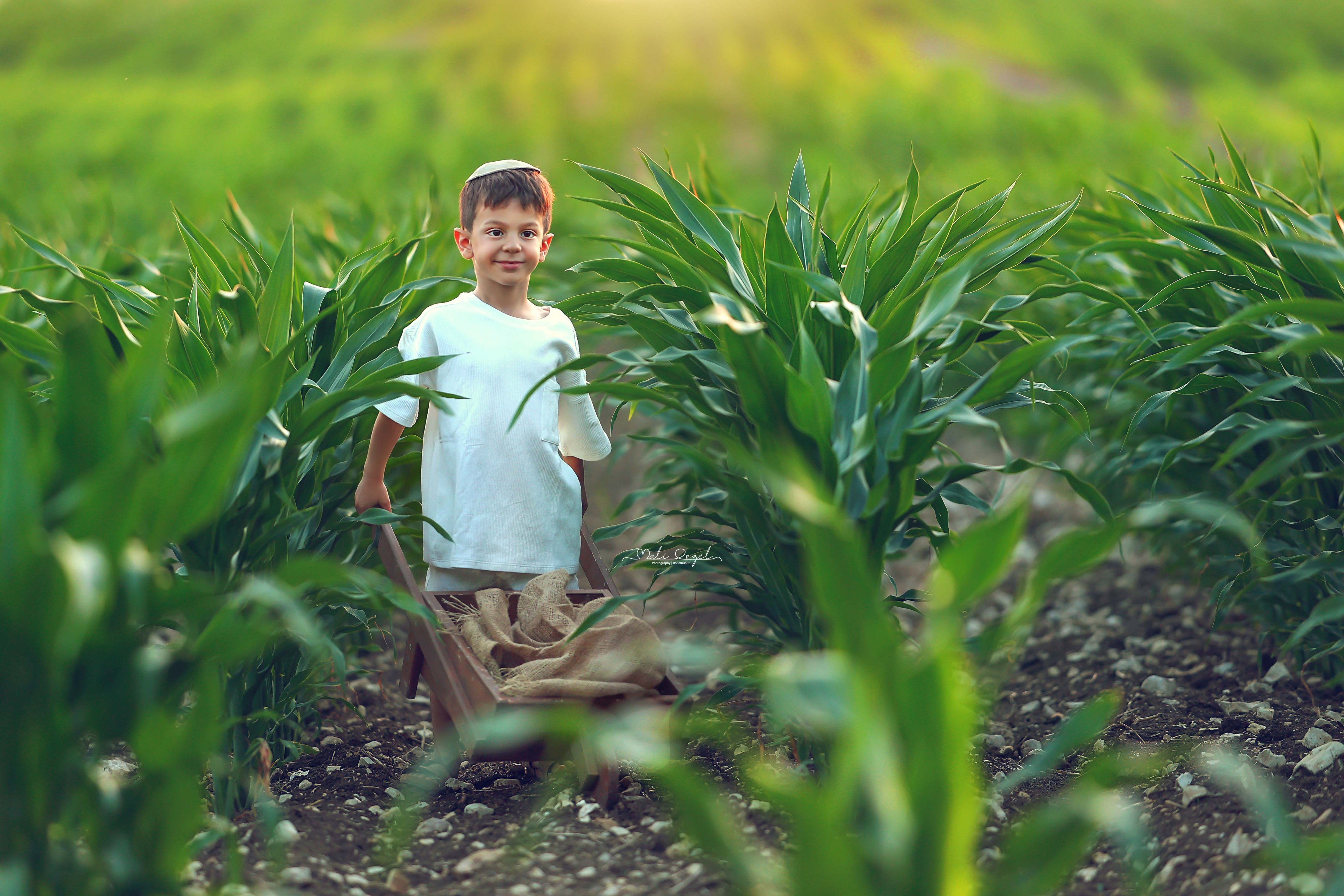 צילום מלי 0533104506