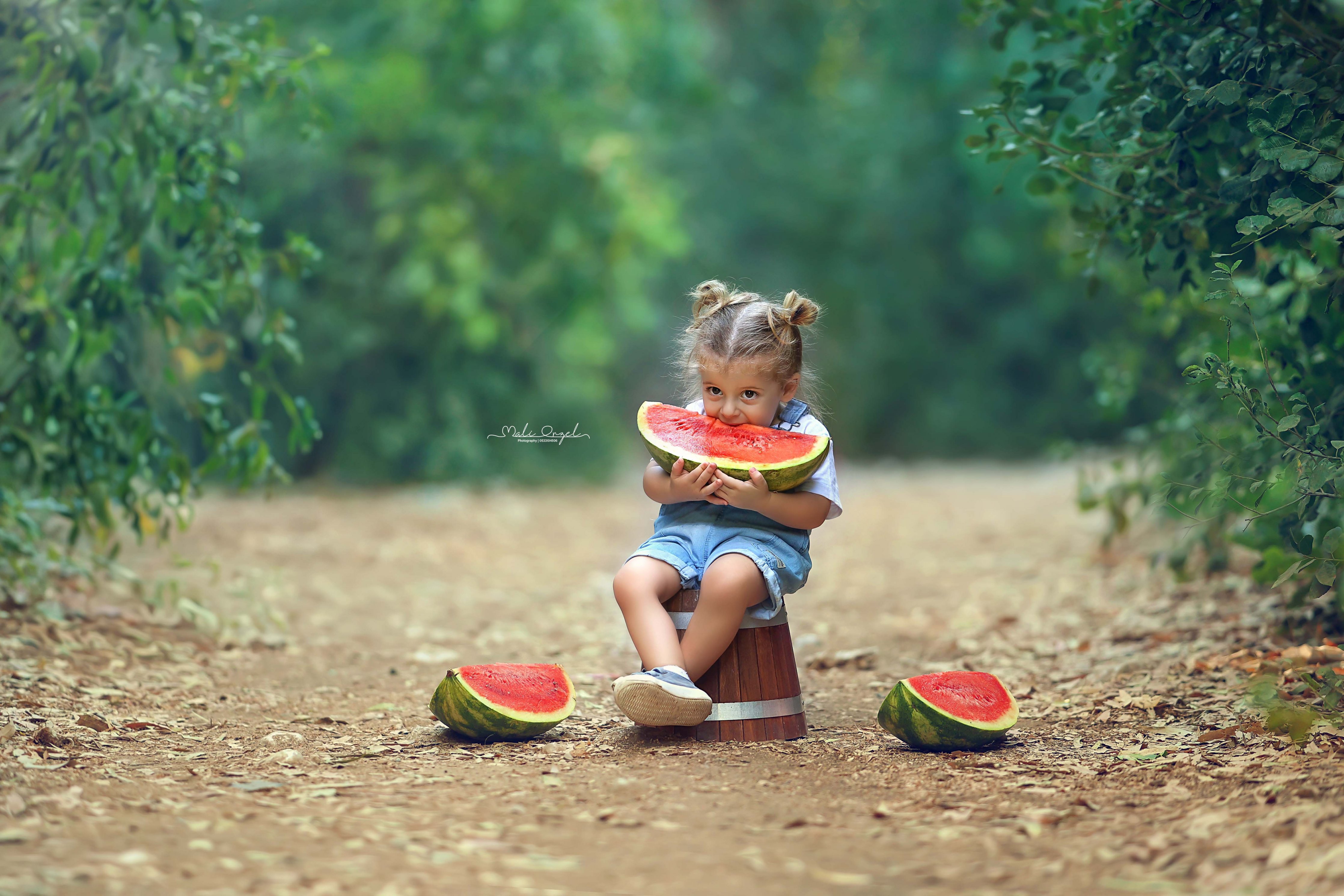 צילום מלי 0533104506