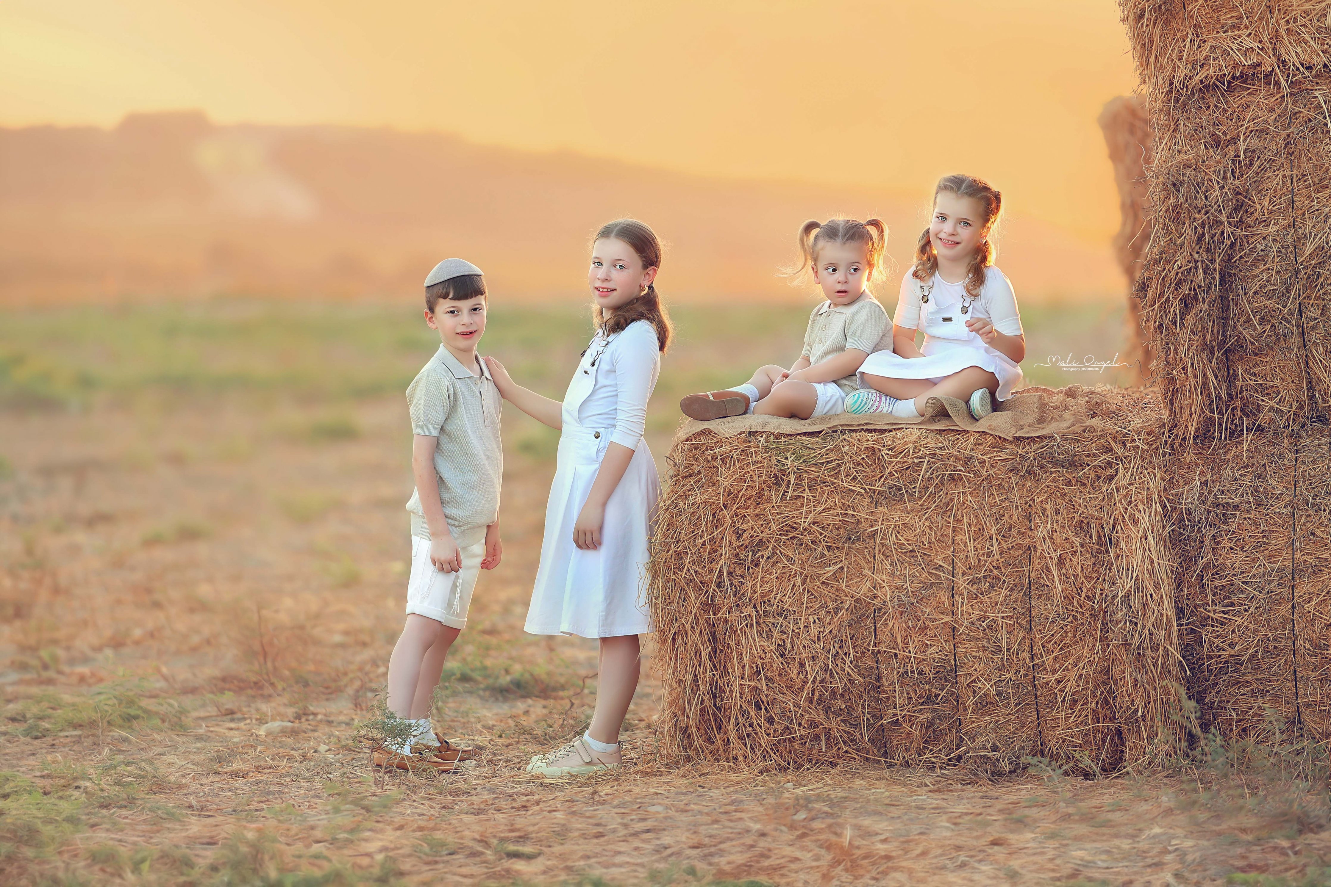 צילום מלי 0533104506