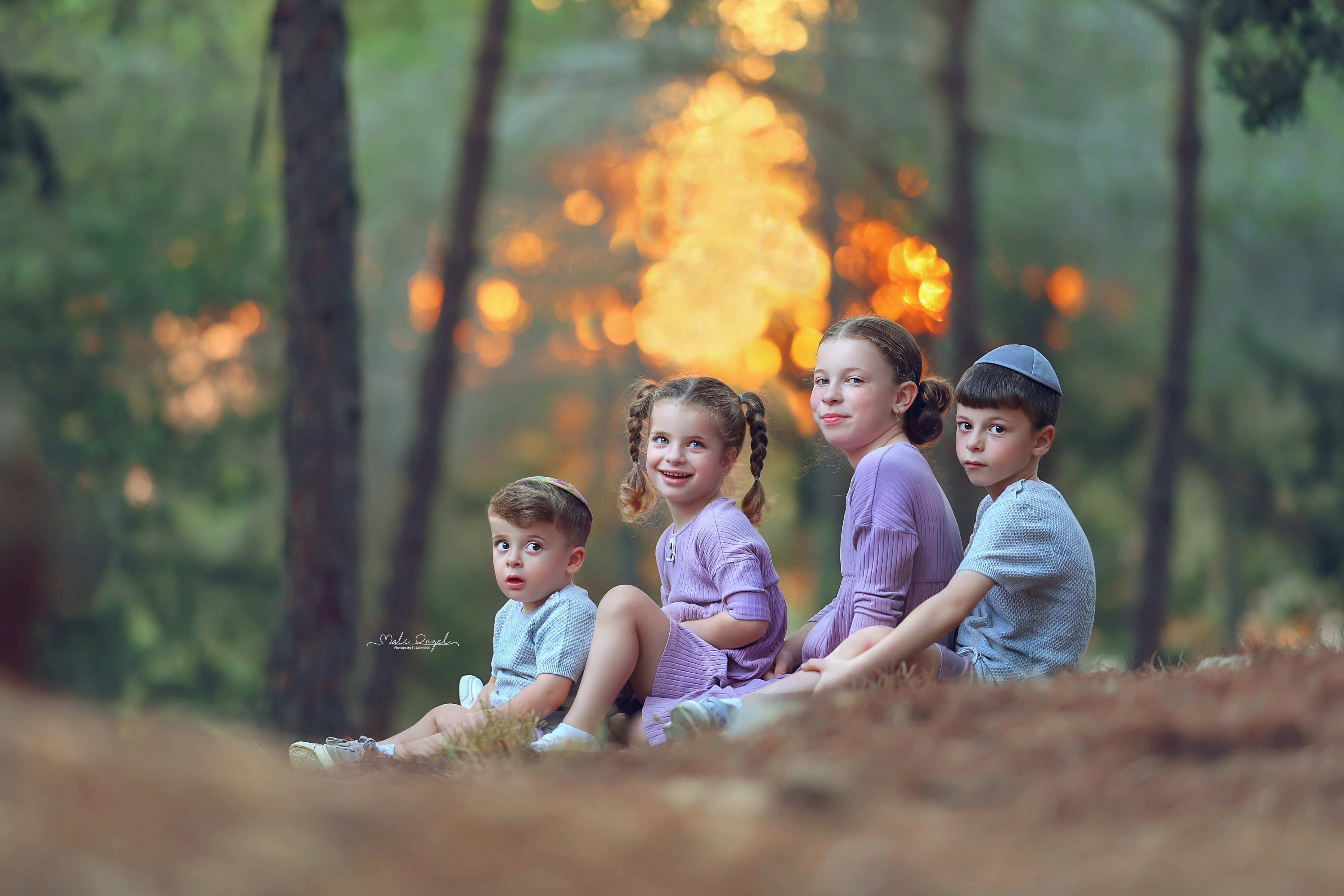 צילום מלי 0533104506