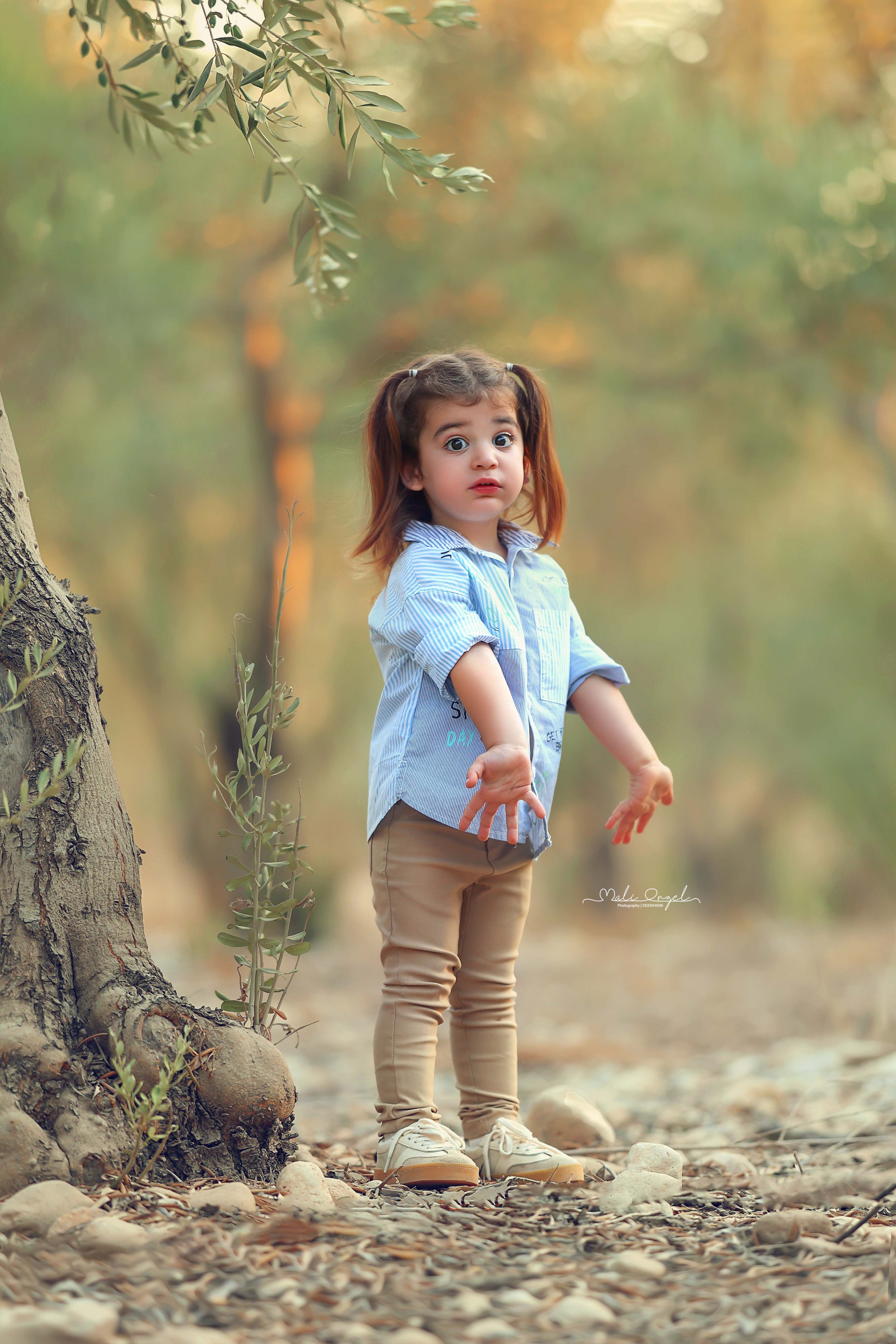 צילום מלי 0533104506