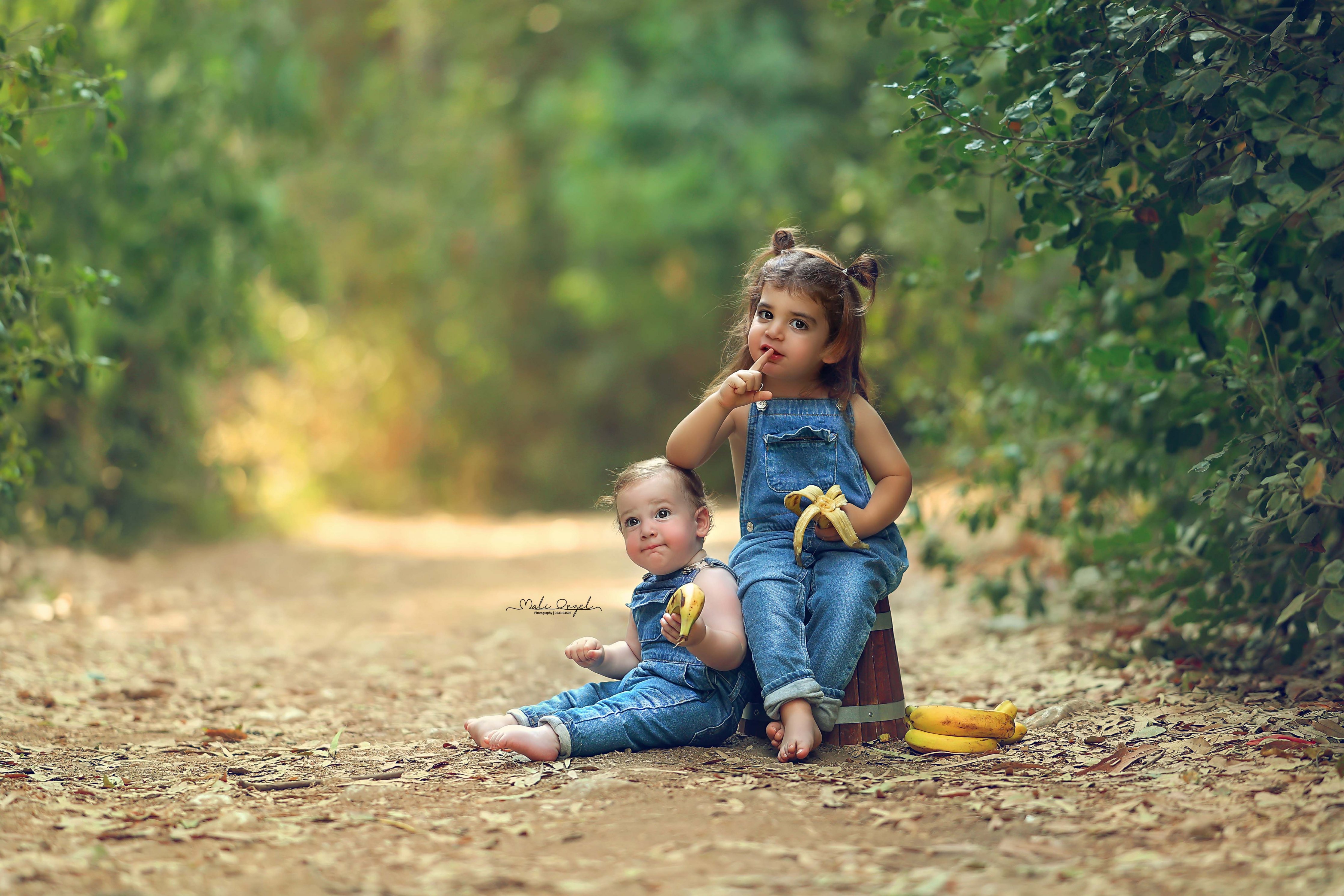 צילום מלי 0533104506