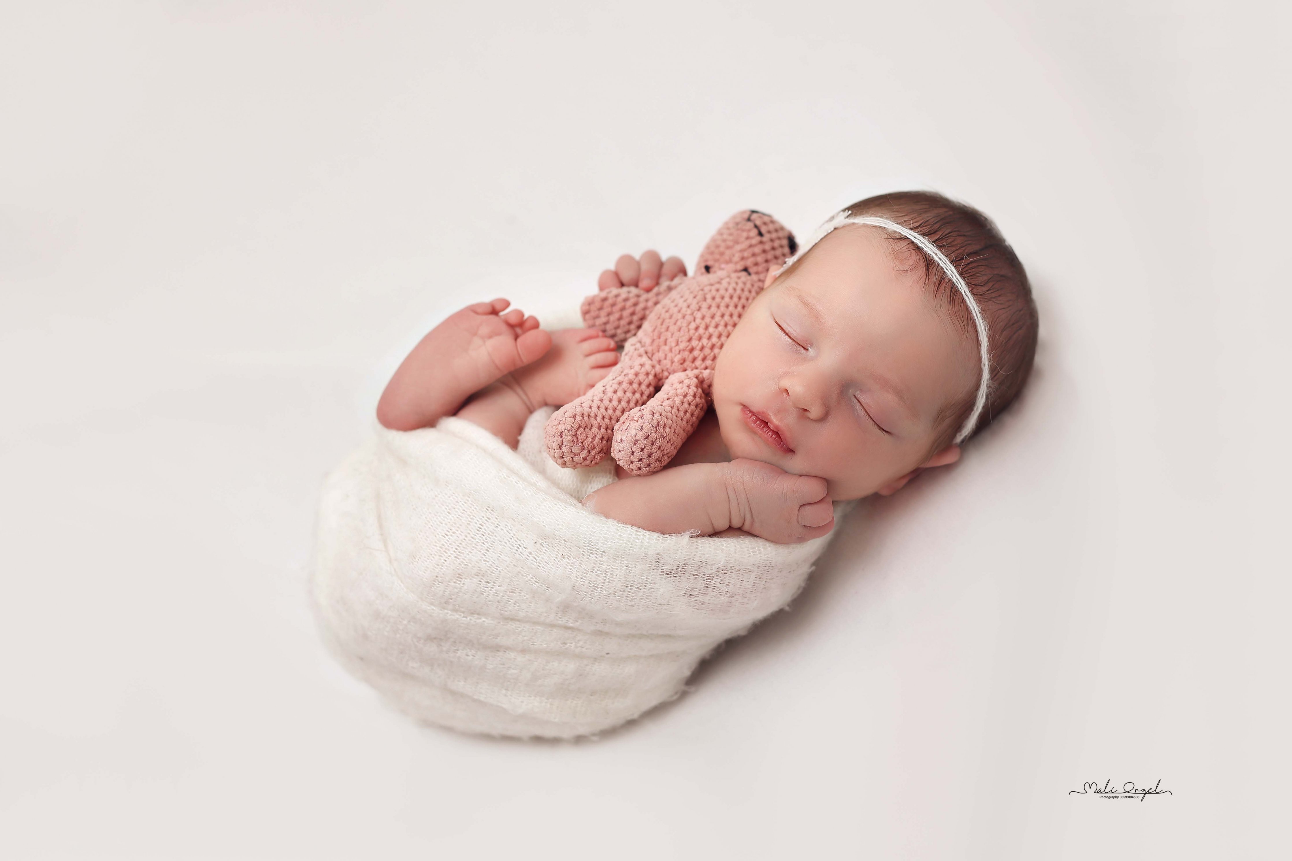 צילום מלי 0533104506