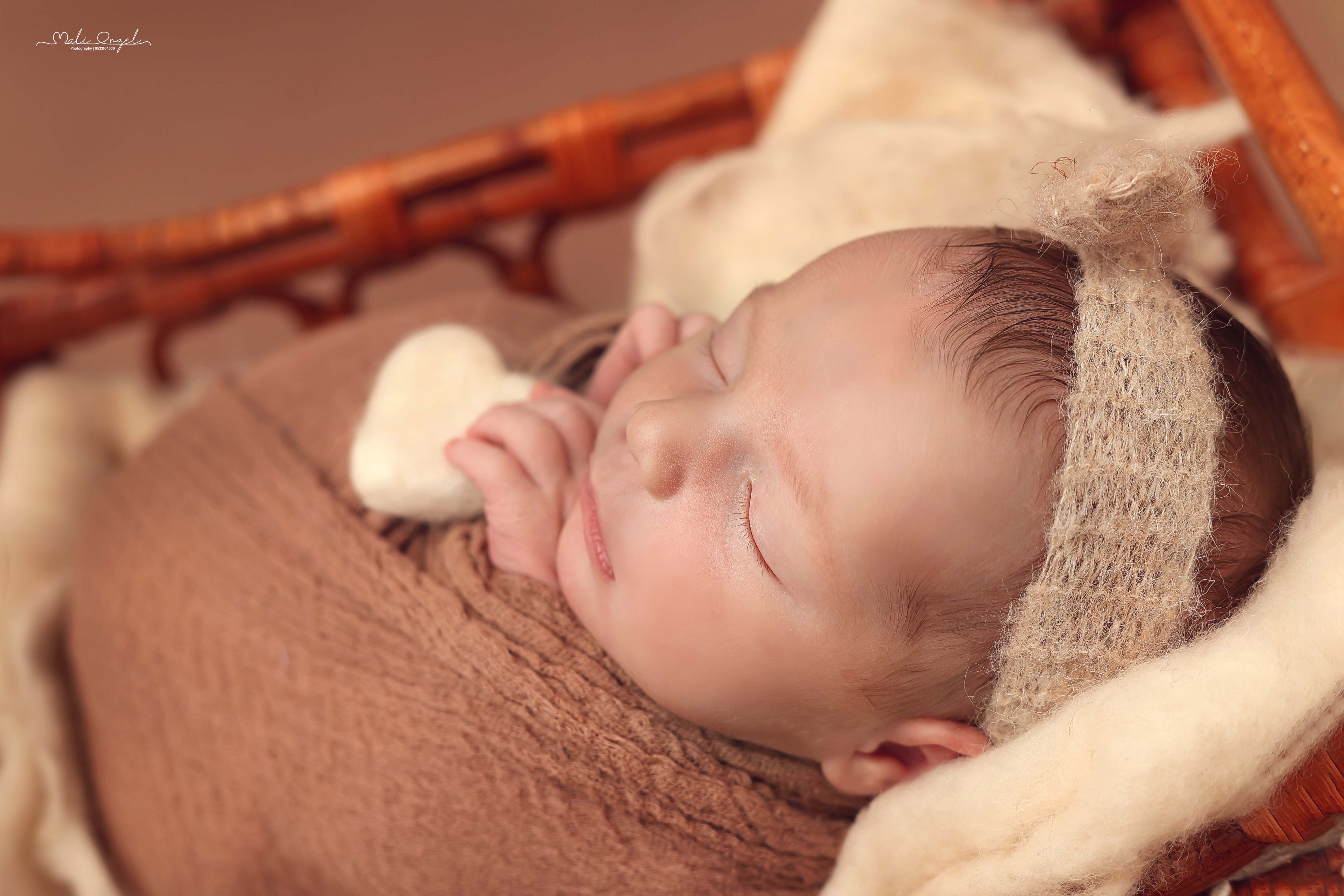 צילום מלי 0533104506