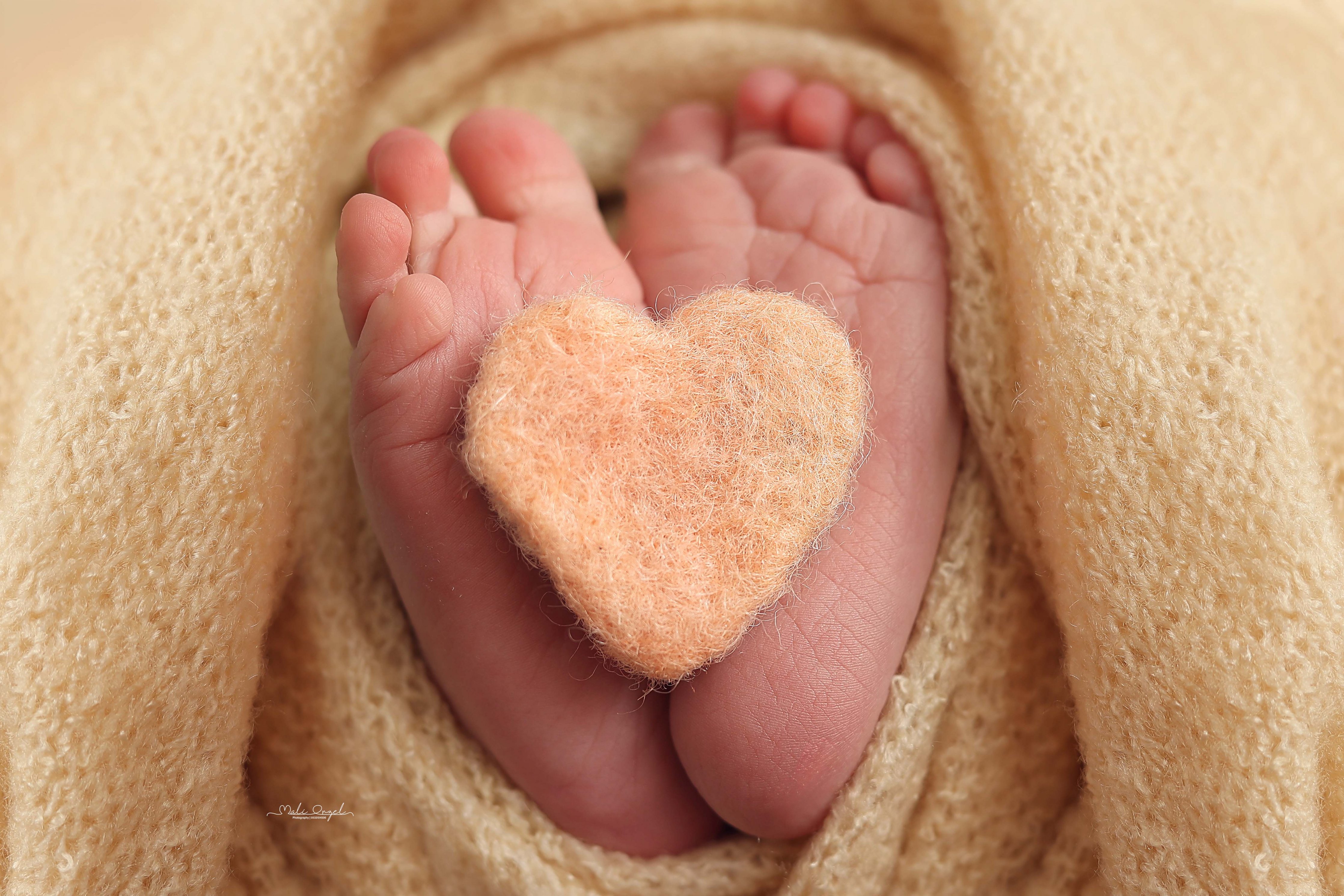 צילום מלי 0533104506