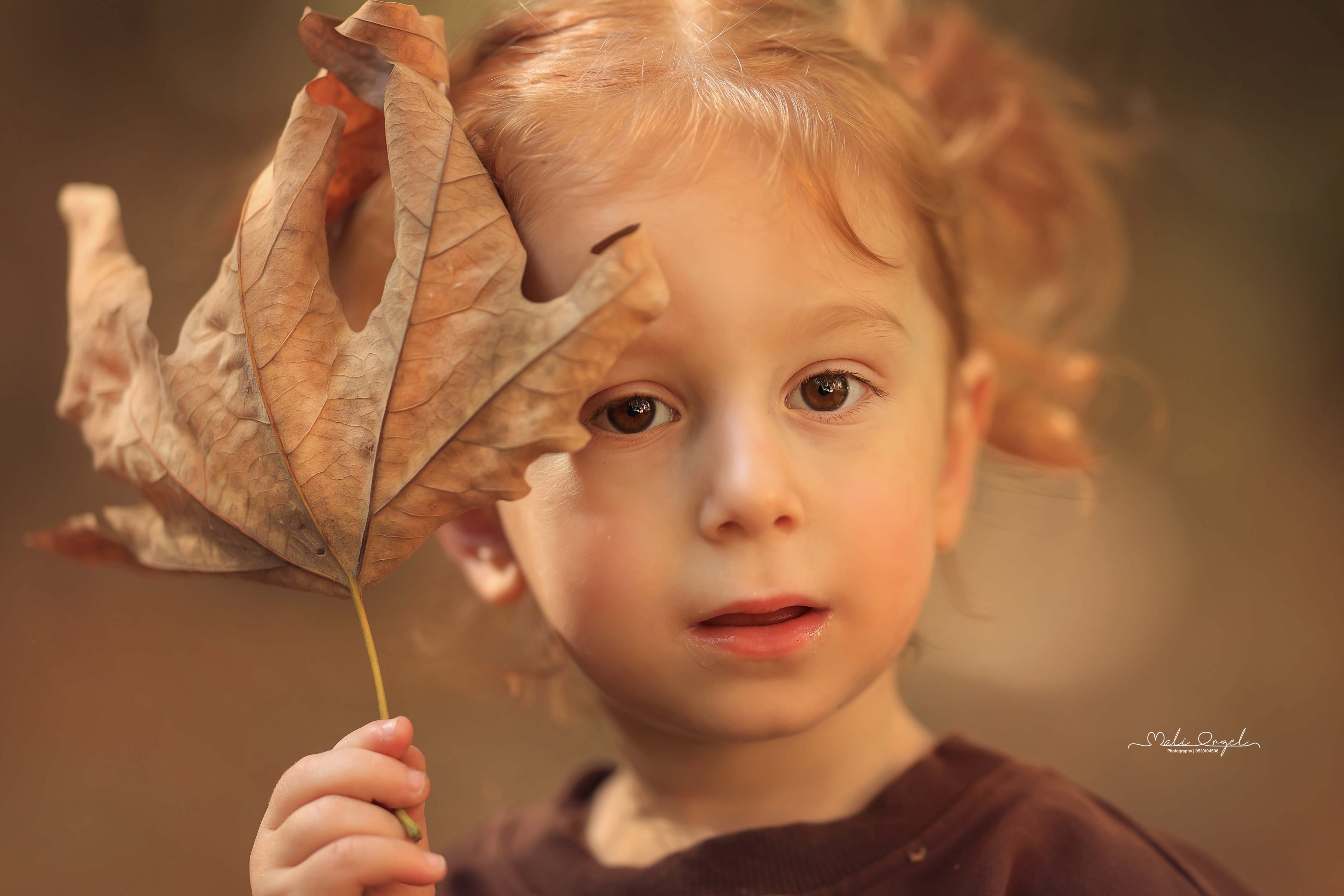 צילום מלי 0533104506