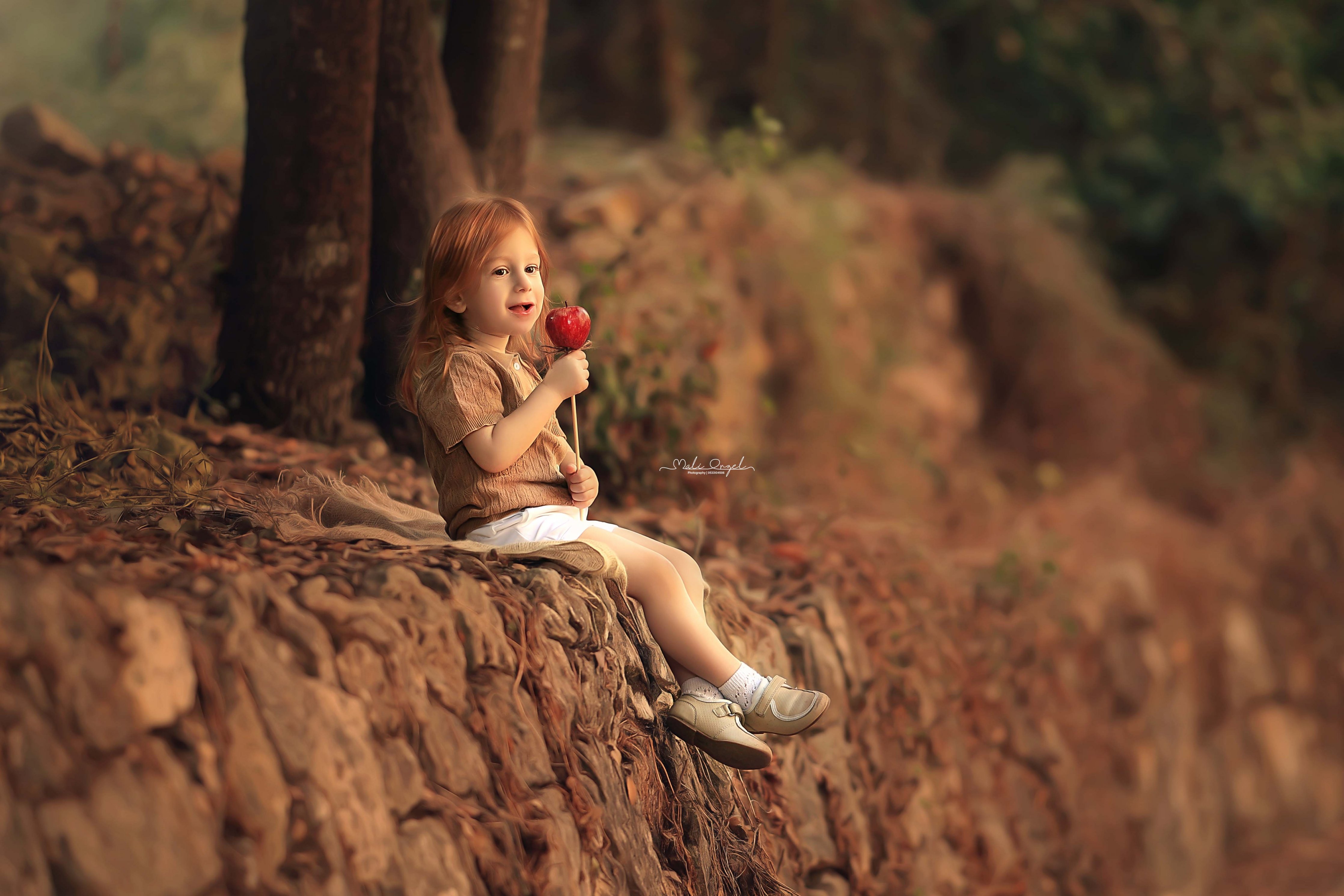 צילום מלי 0533104506