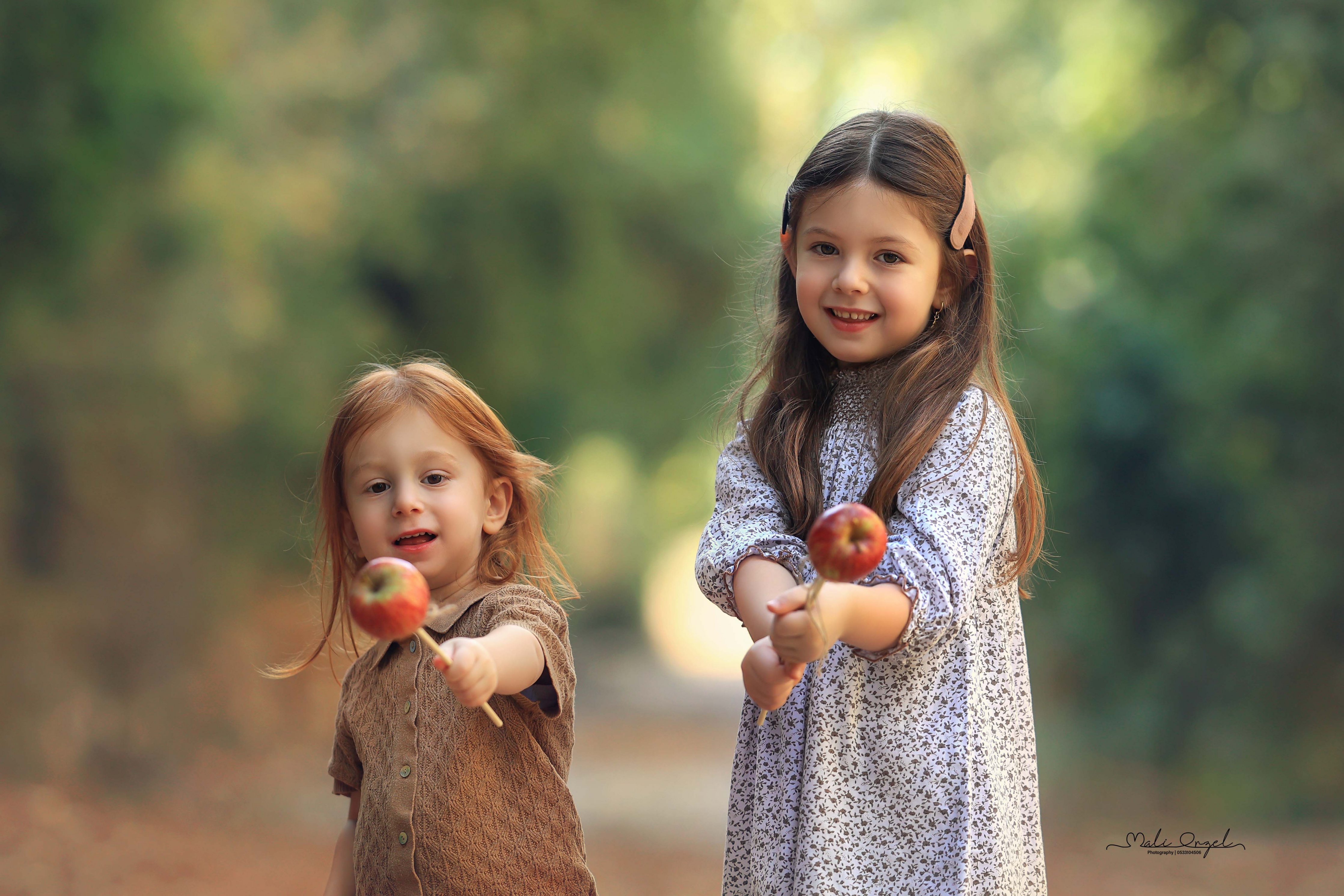 צילום מלי 0533104506