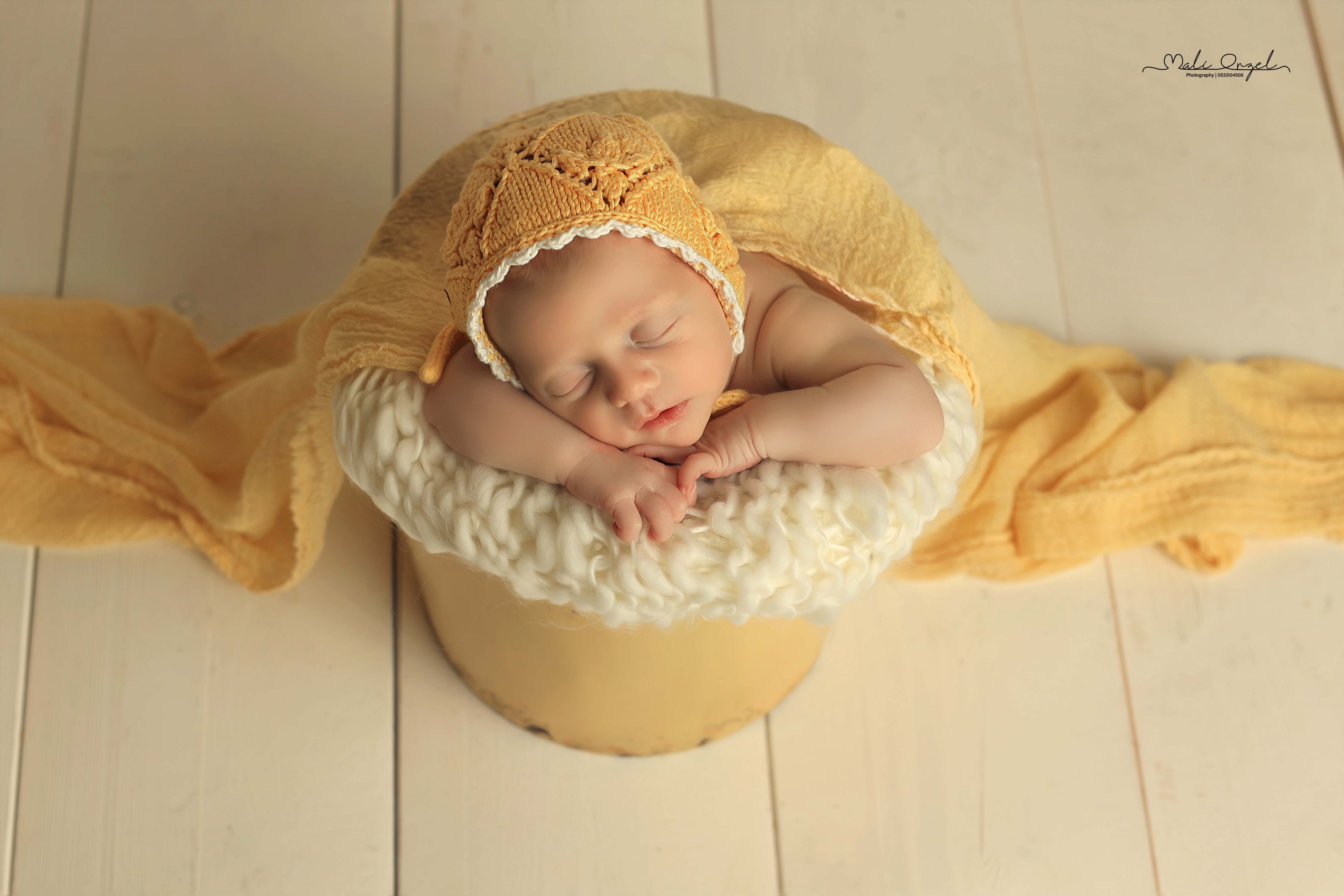 צילום מלי 0533104506