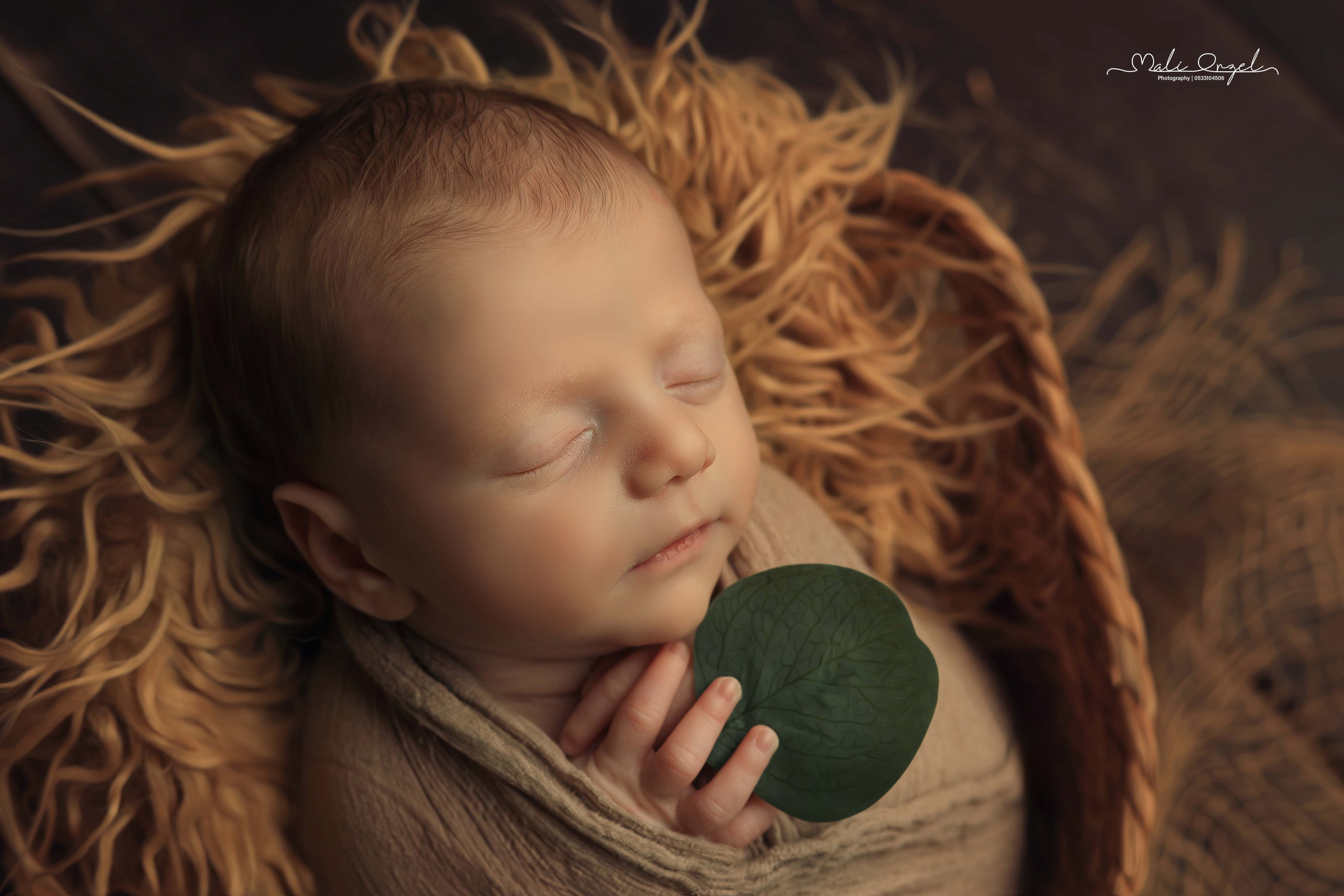 צילום מלי 0533104506