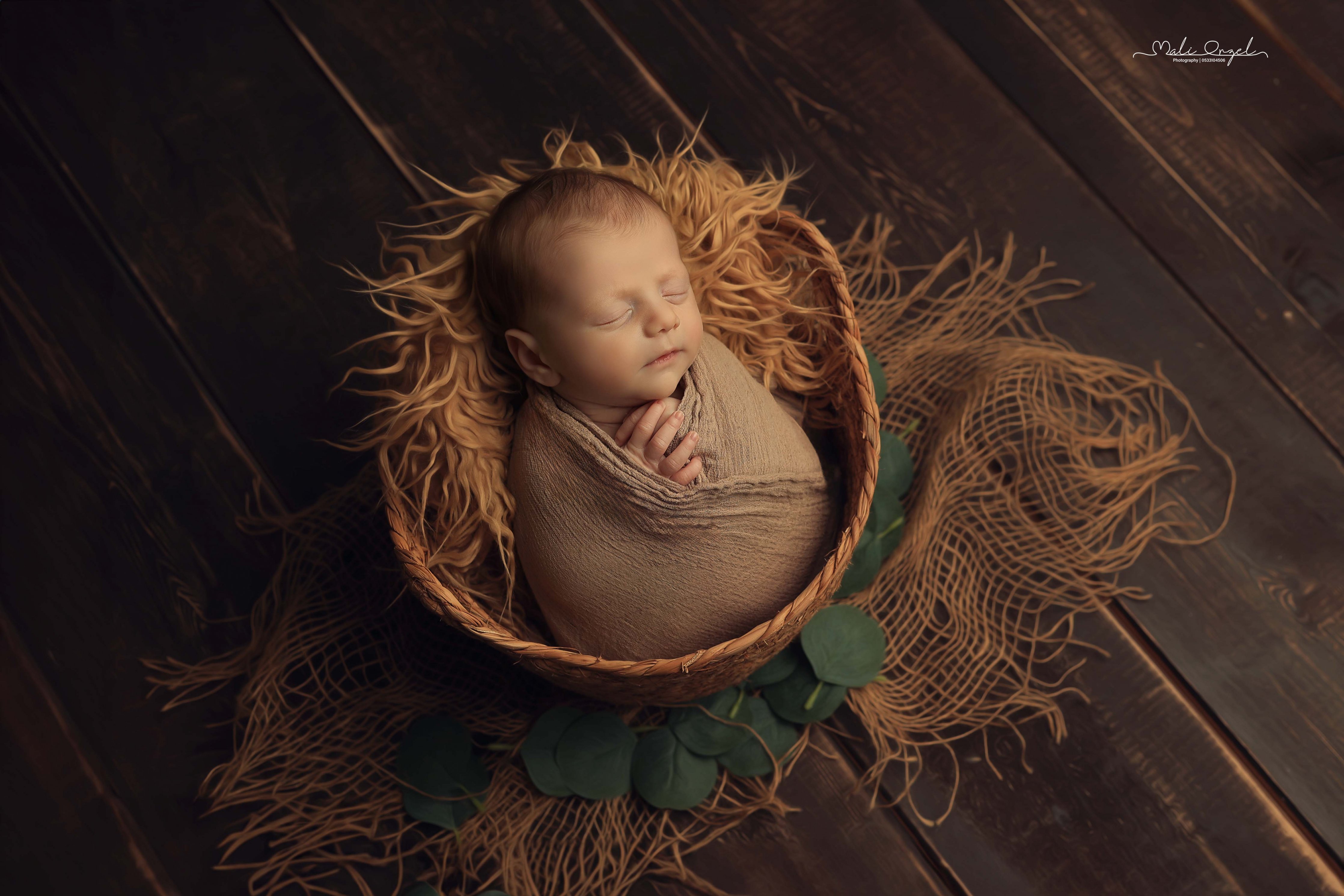 צילום מלי 0533104506