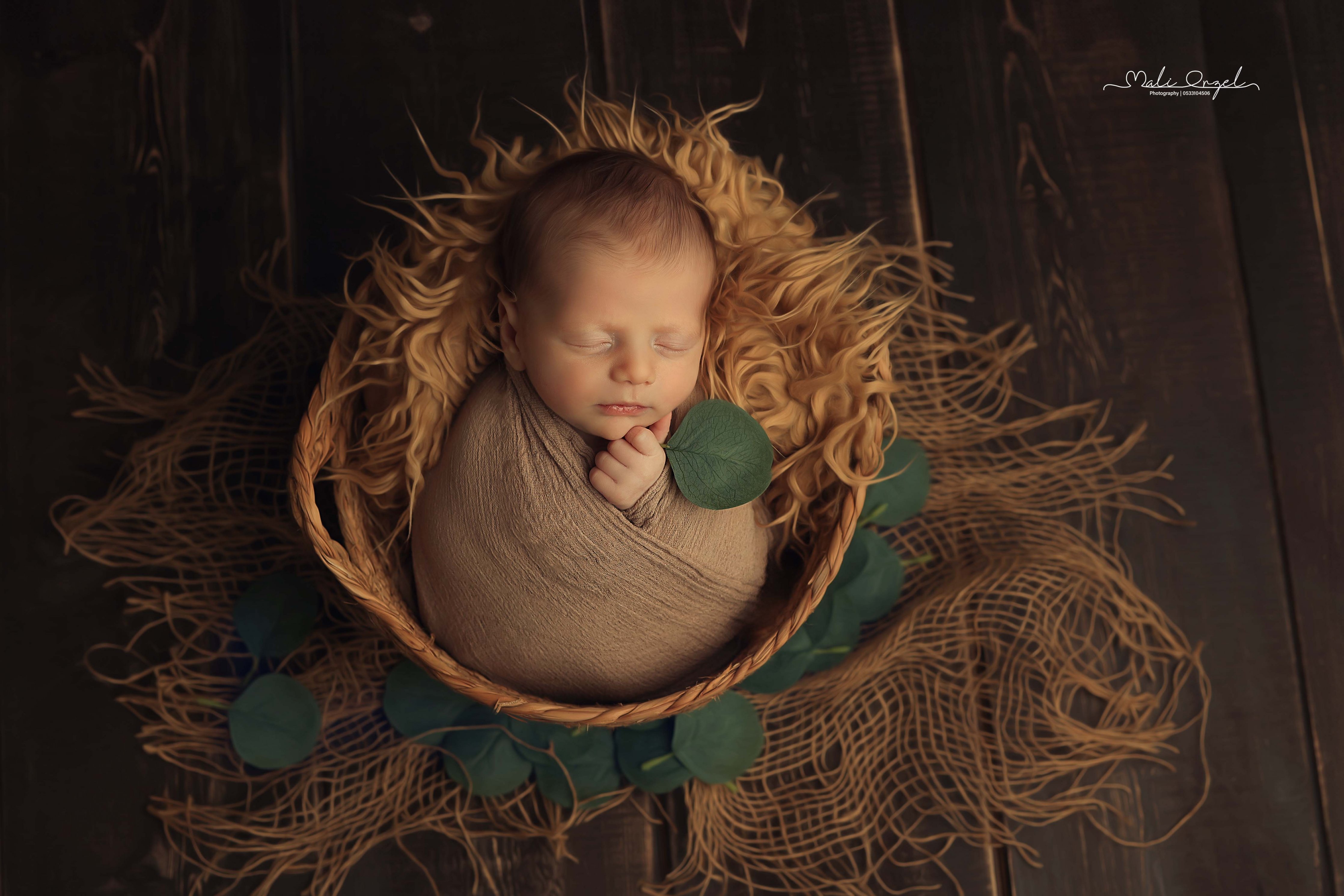 צילום מלי 0533104506