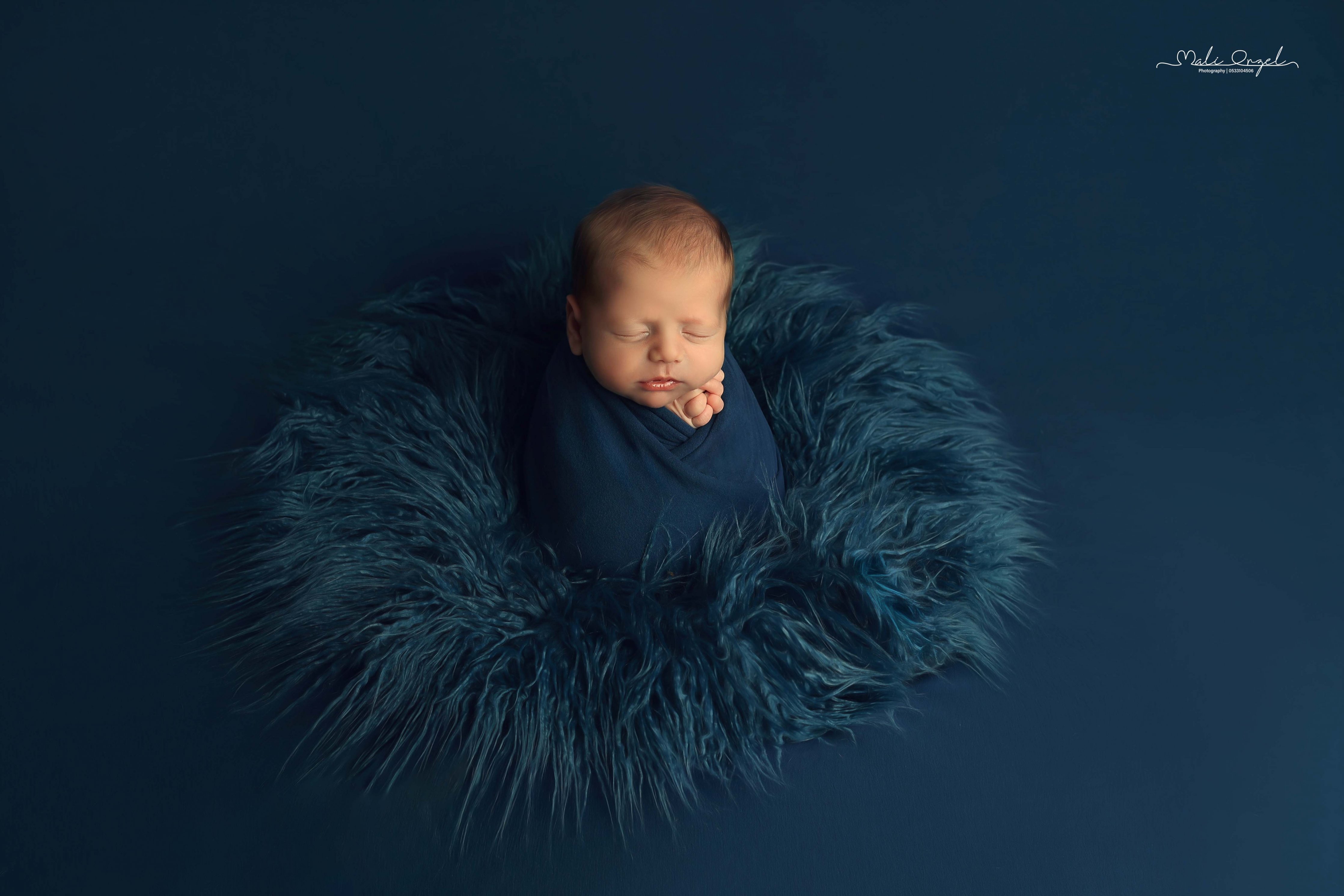 צילום מלי 0533104506