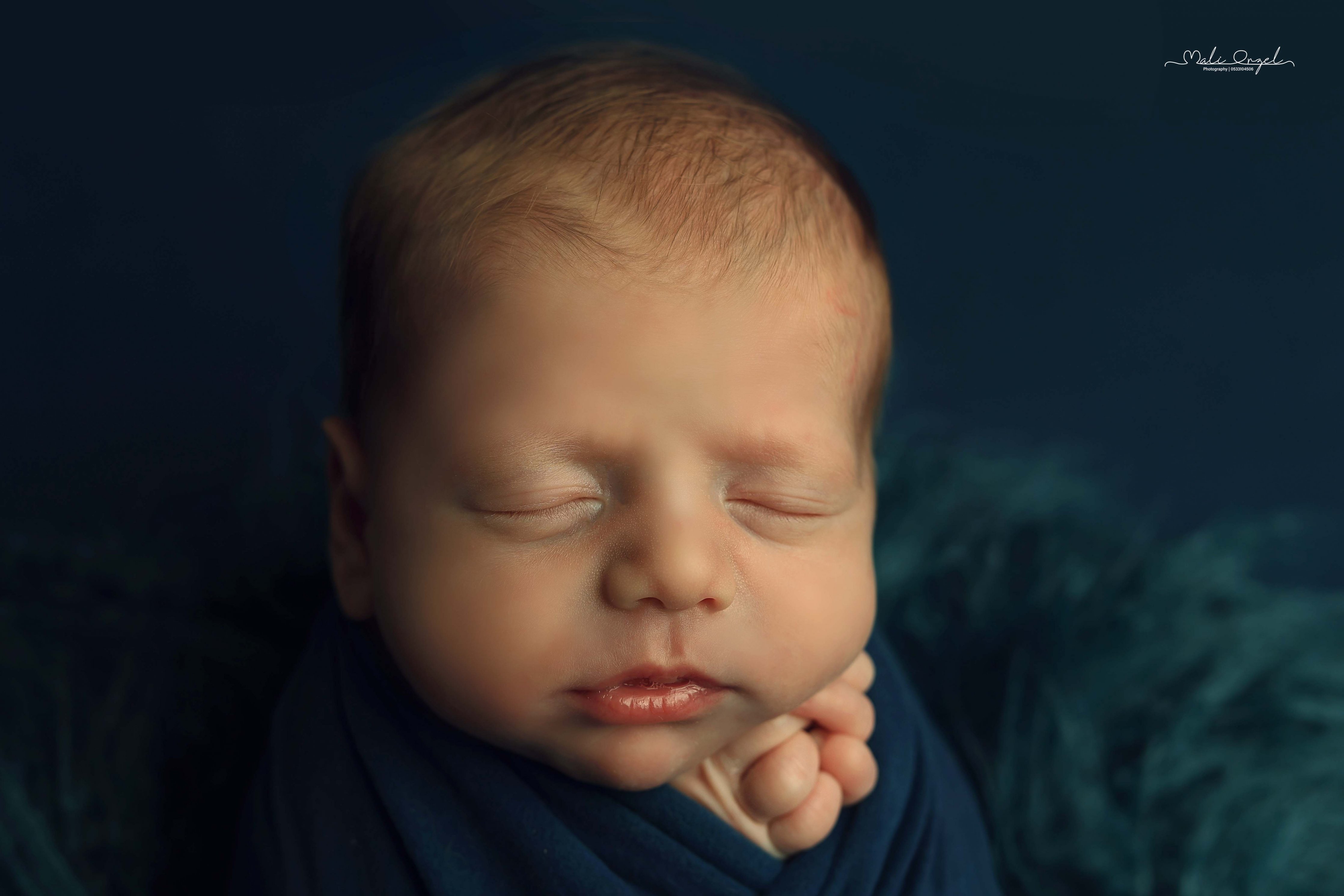 צילום מלי 0533104506