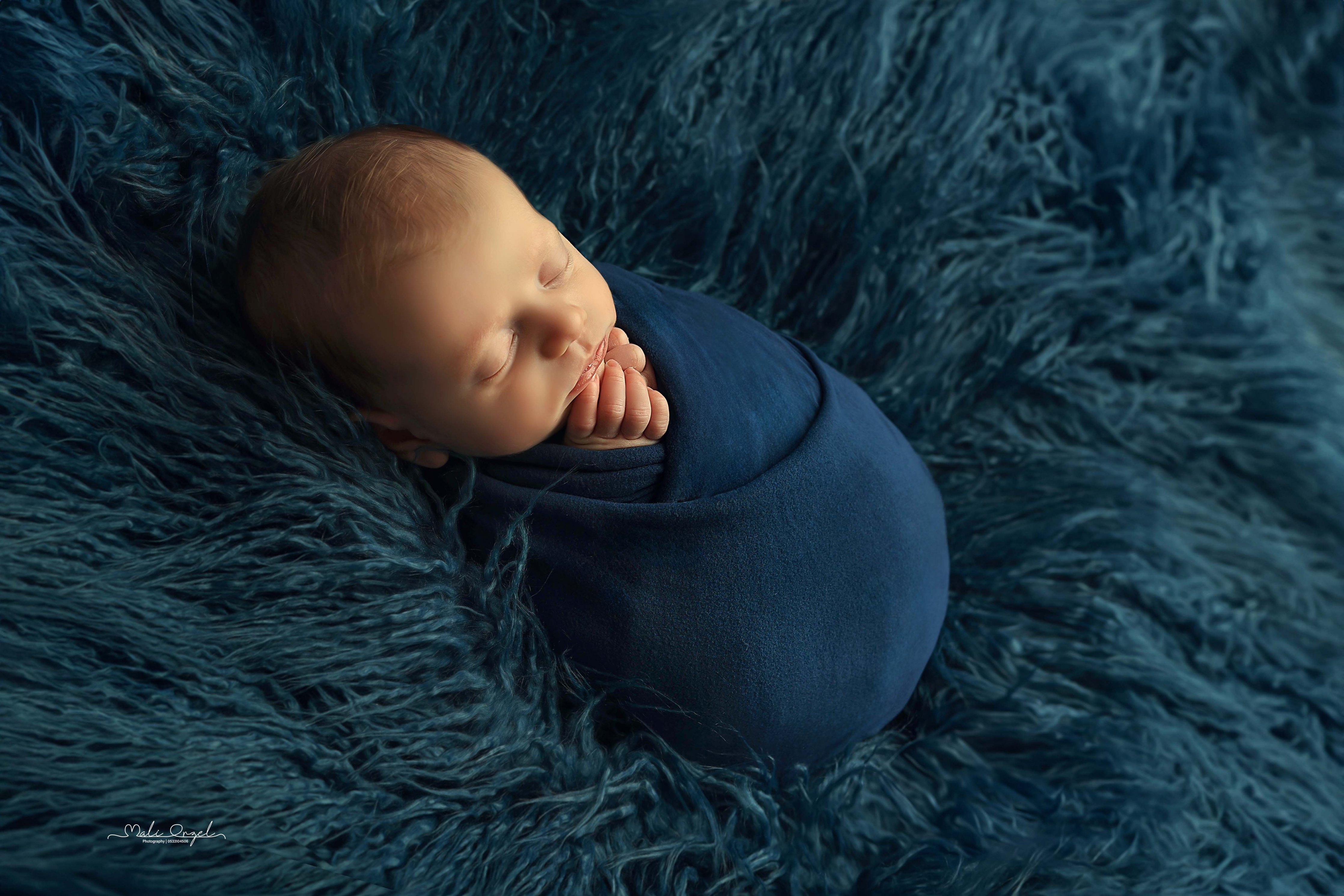 צילום מלי 0533104506