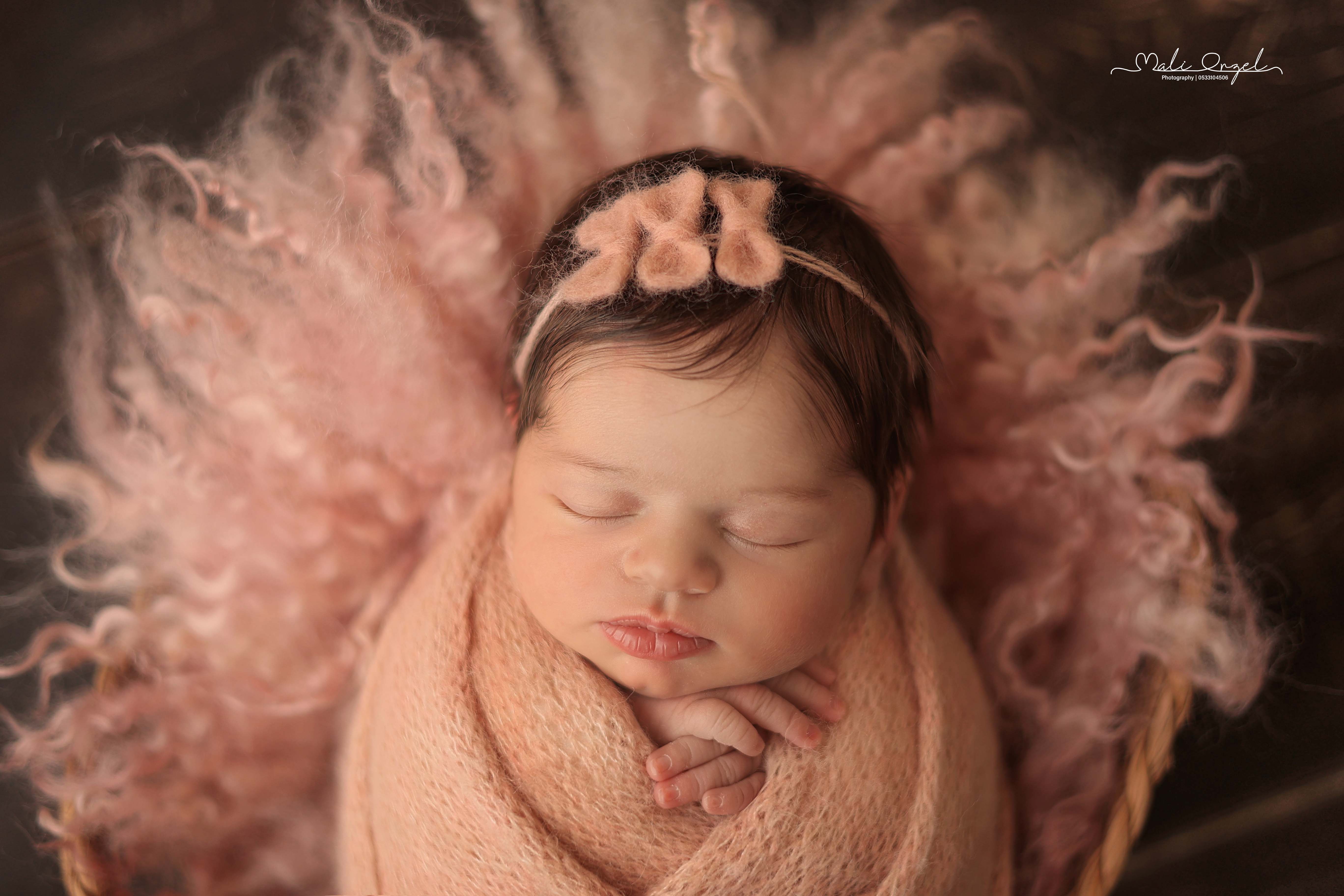 צילום מלי 0533104506