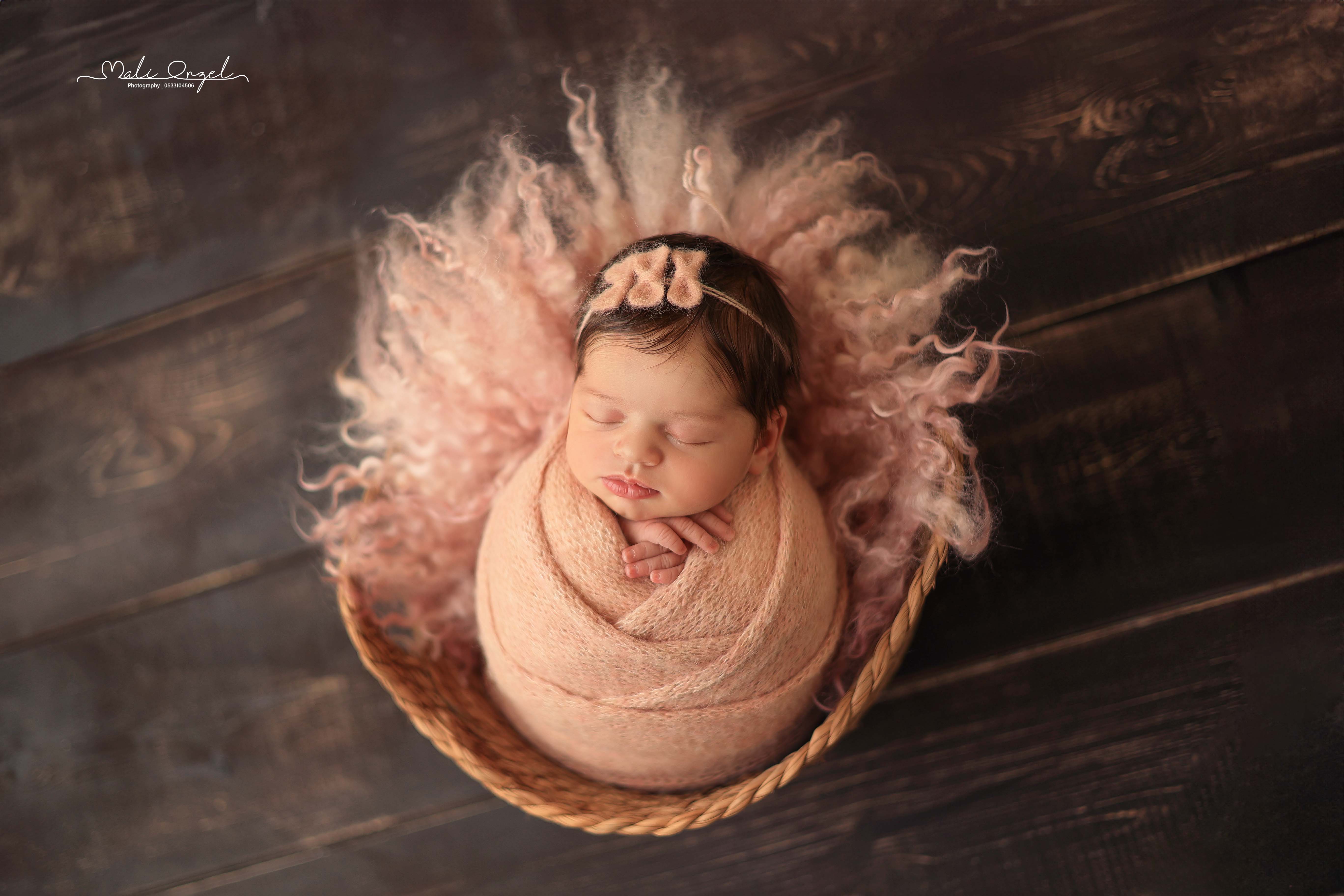 צילום מלי 0533104506